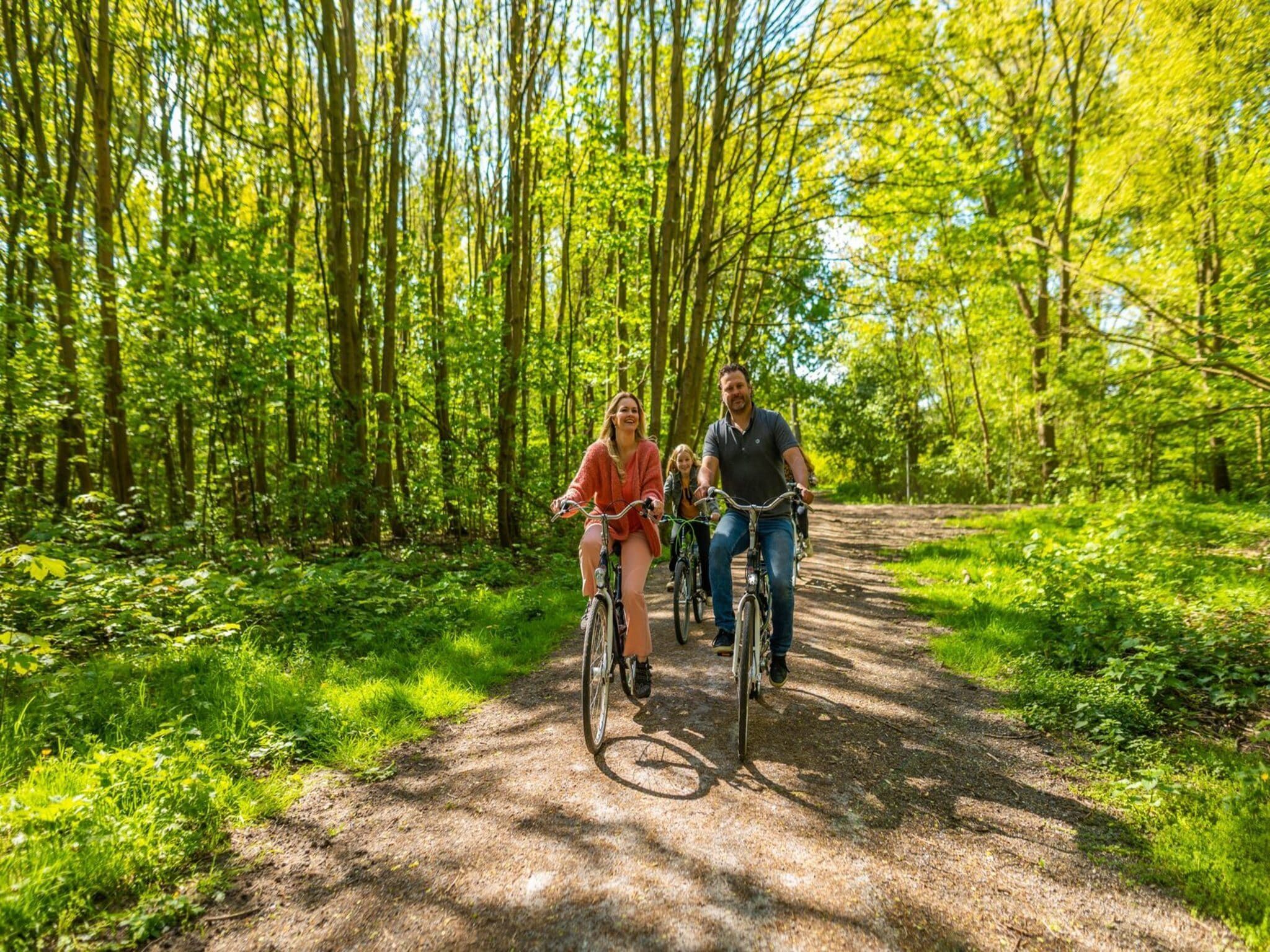 De omgeving van Group accommodation 20 in Otterlo