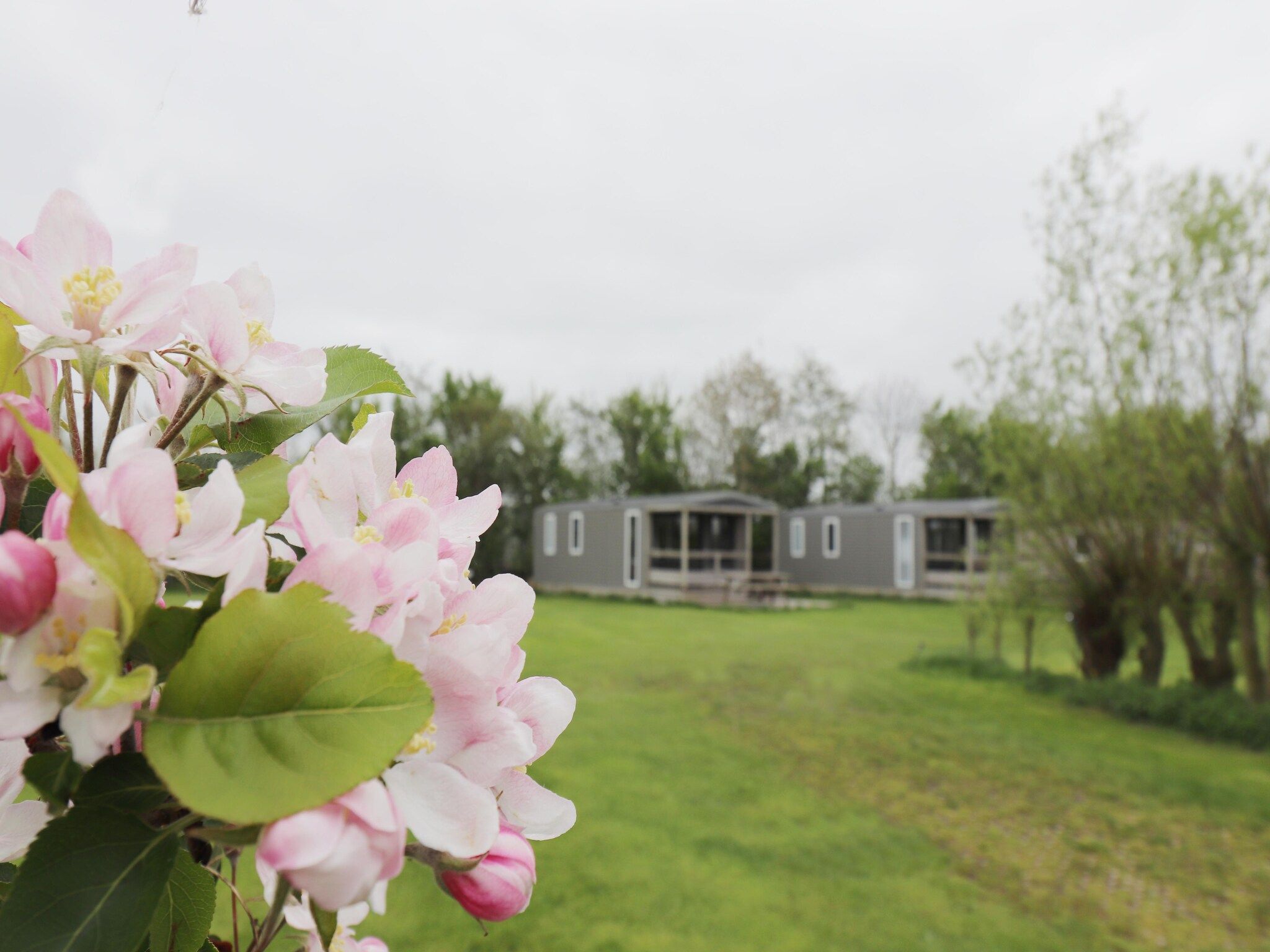 De buitenkant van Terraslodge 1 in Heeg