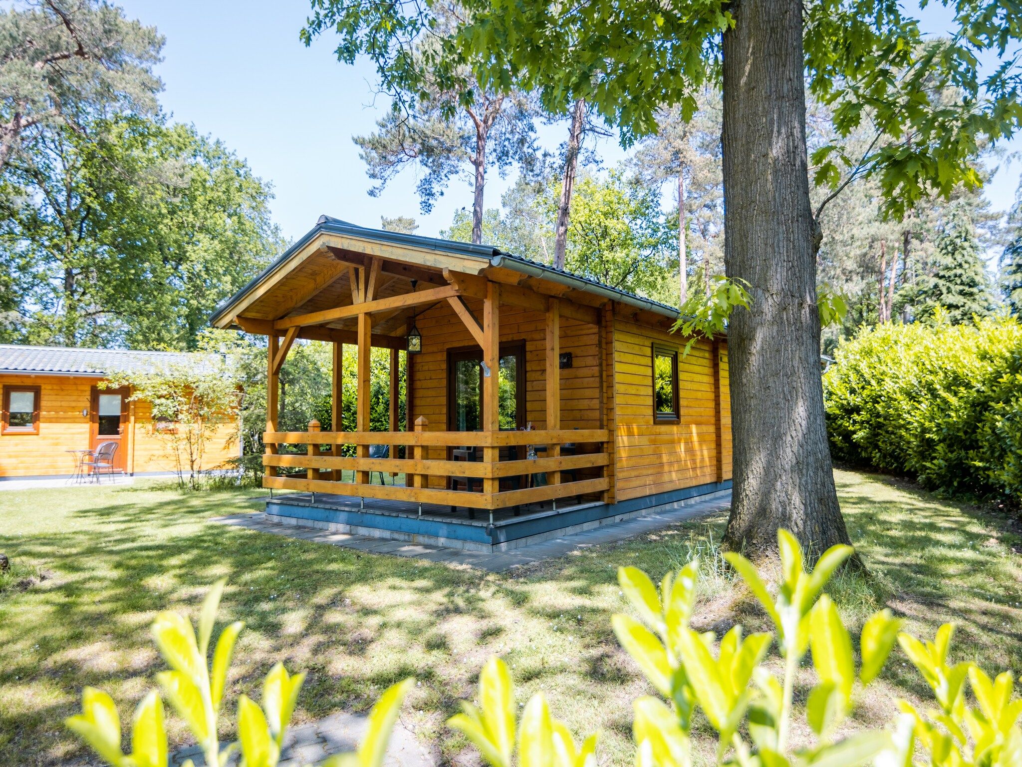 De buitenkant van 2-persoons wellness lodge in Markelo