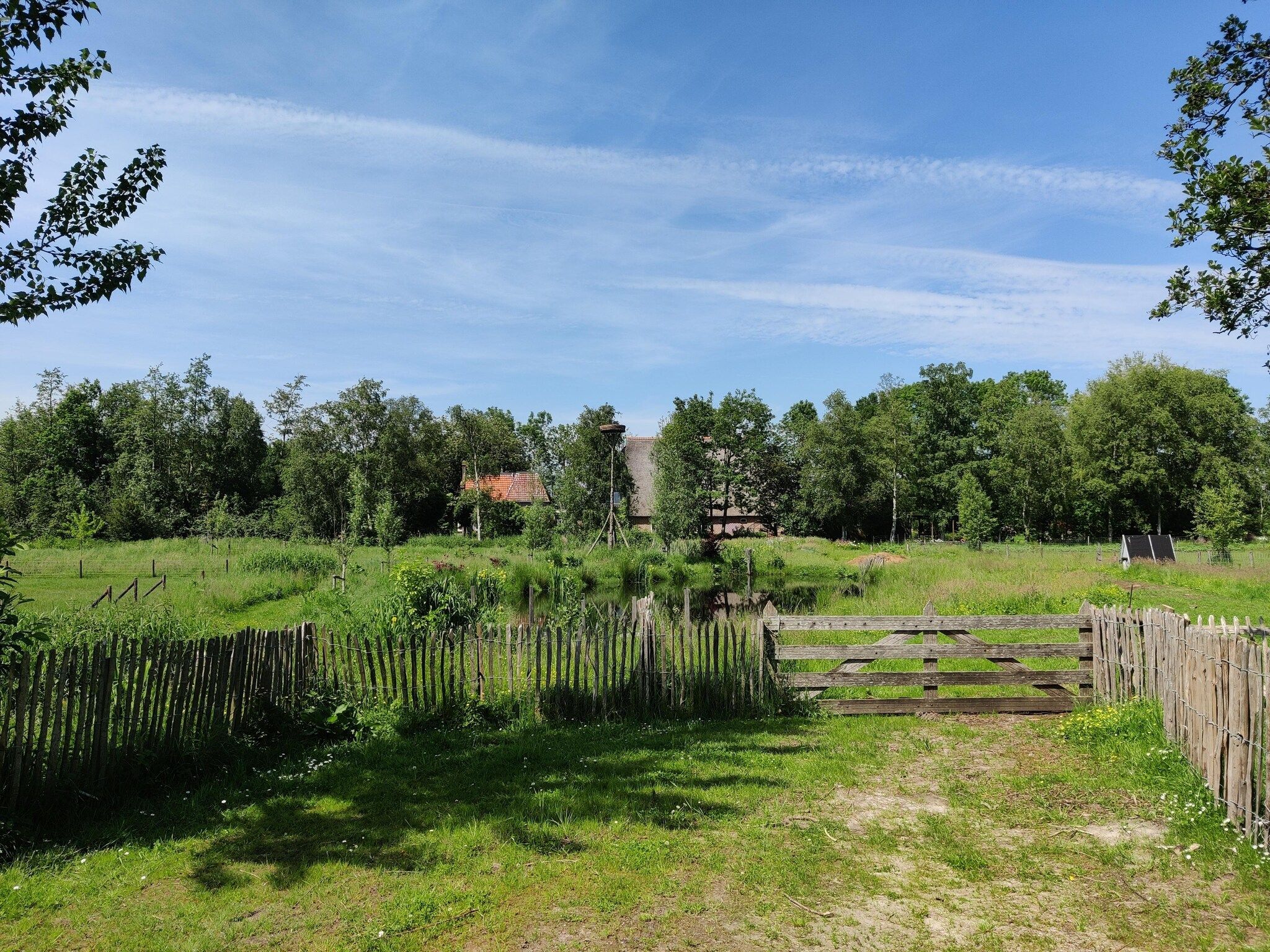 De tuin van Wetland Cabin 2 persoons (op Boetiekpark de Kas, Scherpenzeel, Friesland) in Scherpenzeel