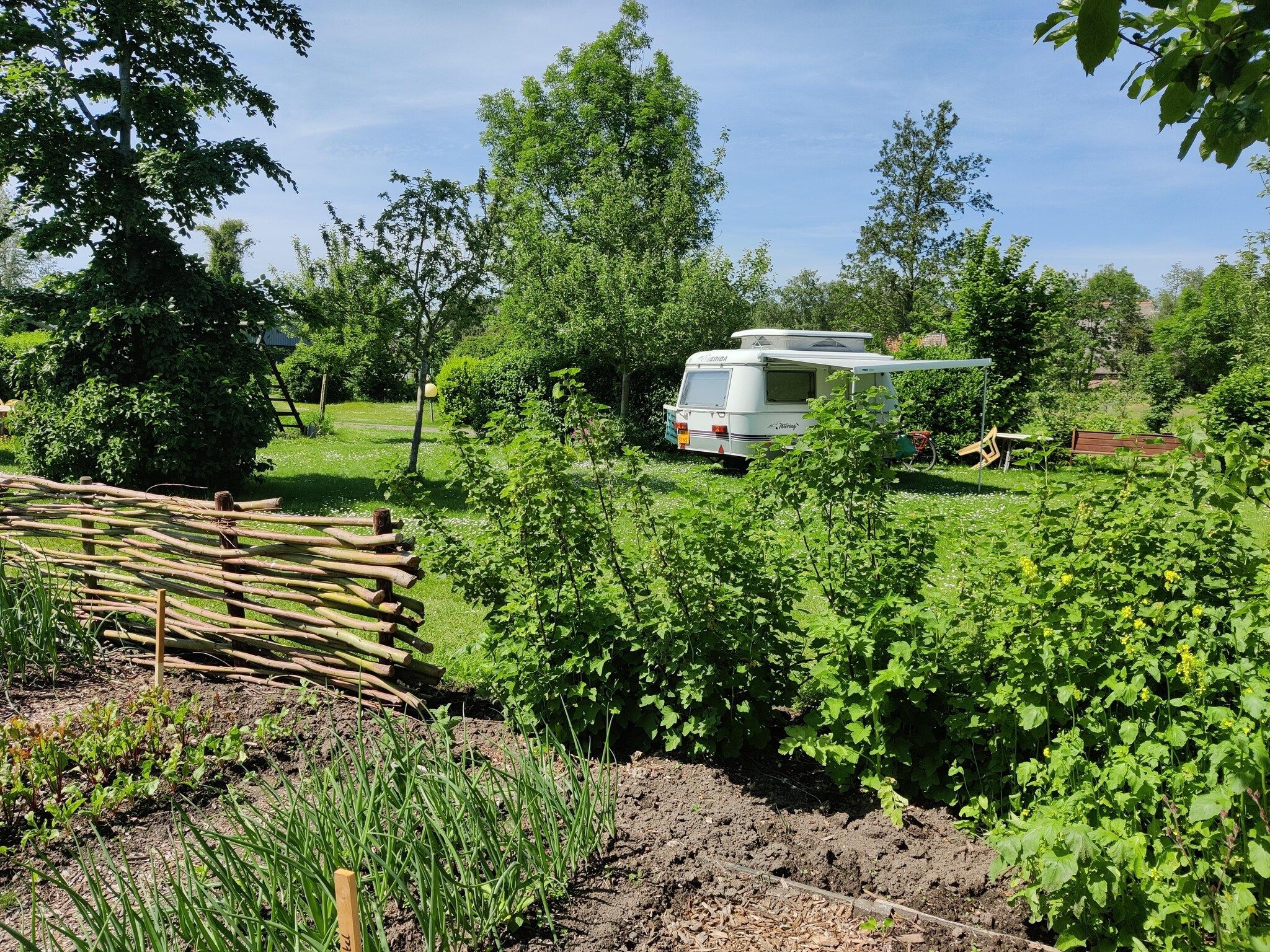 De tuin van Wetland Cabin 2 persoons (op Boetiekpark de Kas, Scherpenzeel, Friesland) in Scherpenzeel