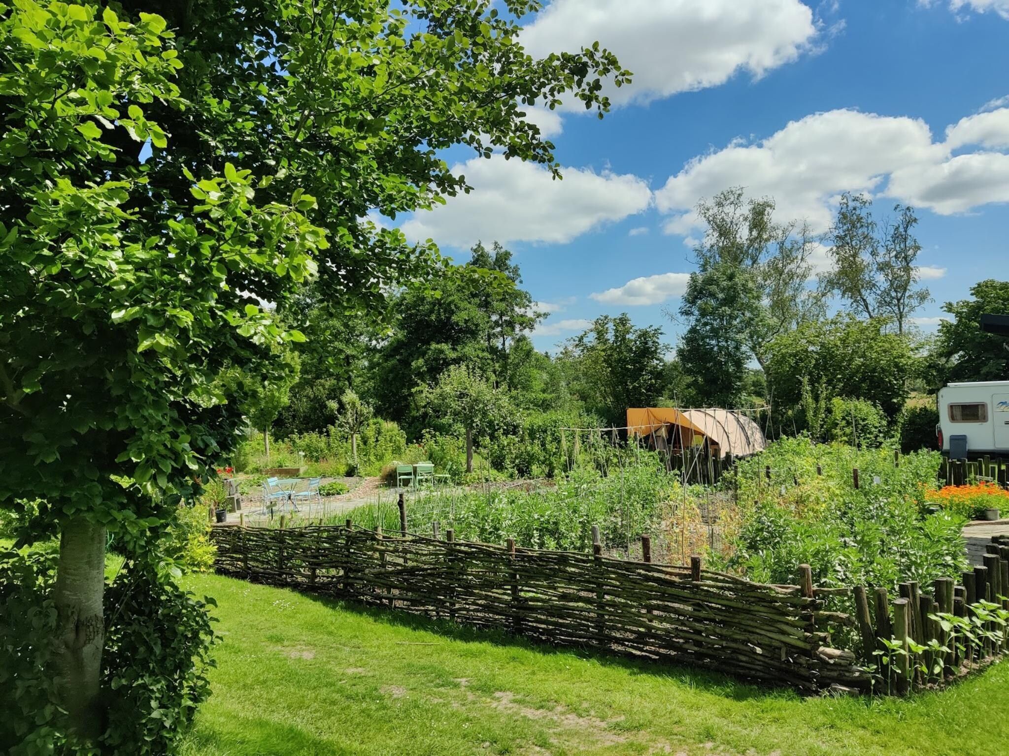 De tuin van Groepsaccommodatie voor 20 personen + 5 Tiny Greenhouses voor 2 tot 4 personen in Scherpenzeel (FR)