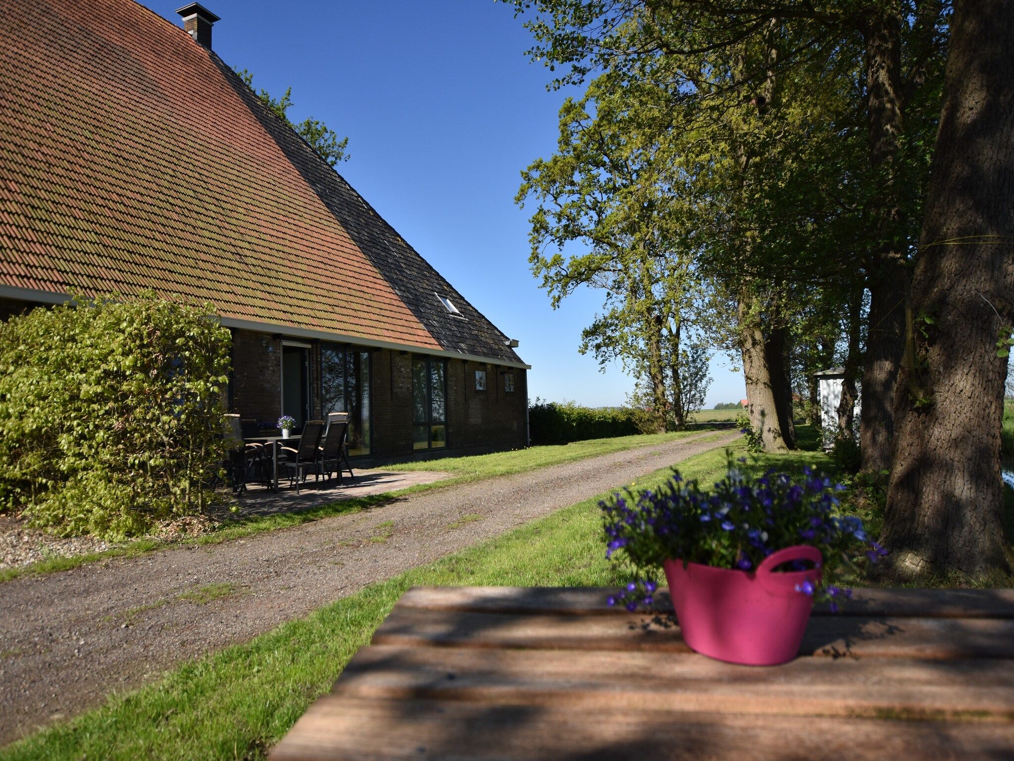 De buitenkant van Berkenhof 8 personen in Workum