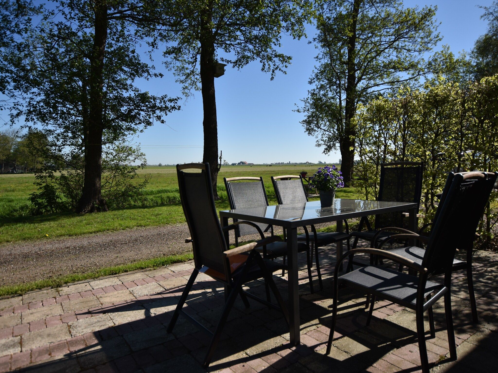 Het terras van Berkenhof 8 personen in Workum