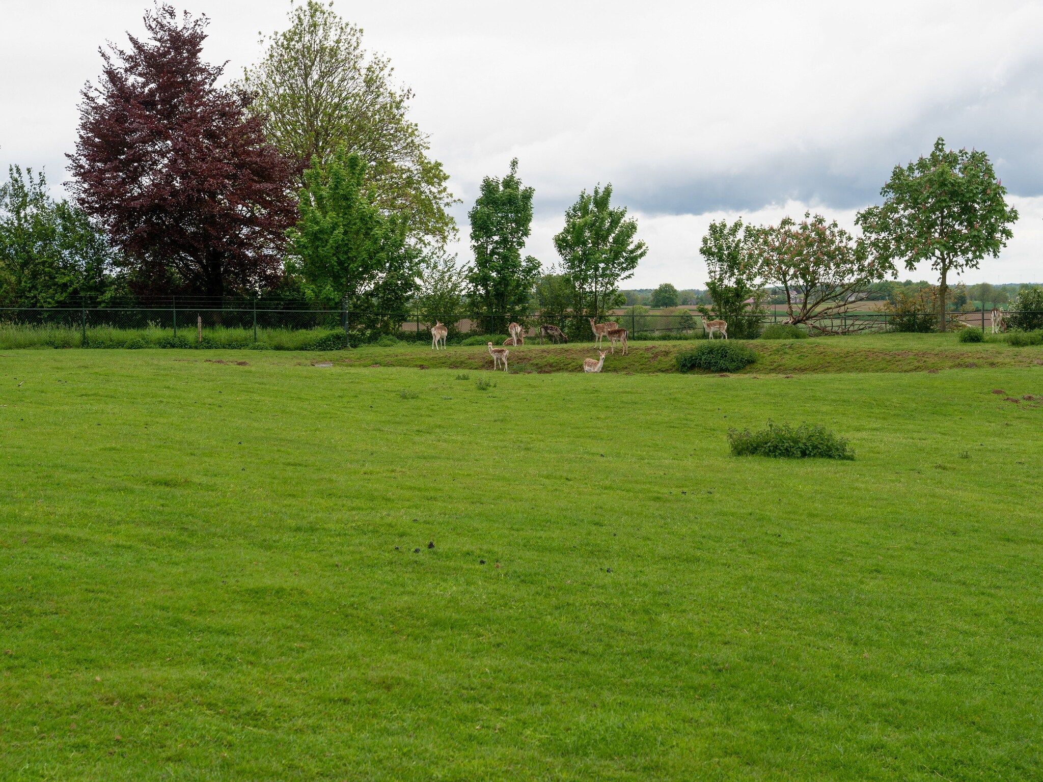 De tuin van Valleyview Cottages - NR17 in Voerendaal