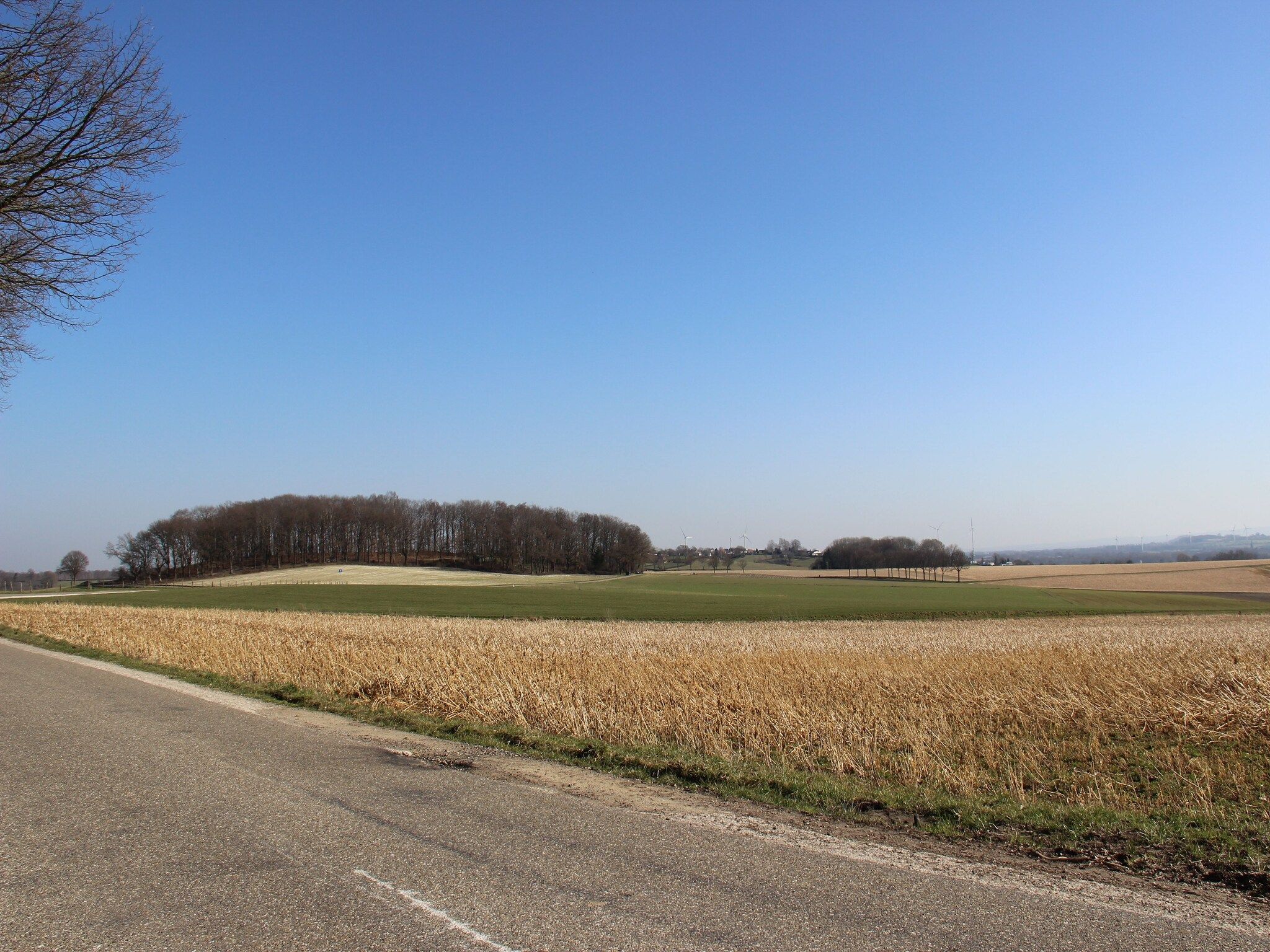 De omgeving van Valleyview Cottages - NR18 in Voerendaal
