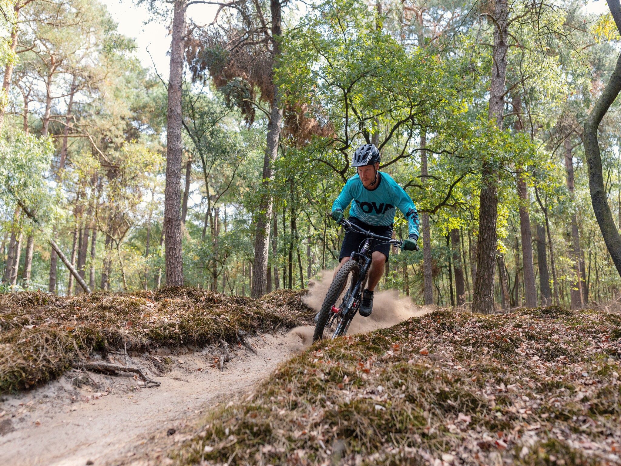 De omgeving van De Elster Lifestyle in TA Gasselte