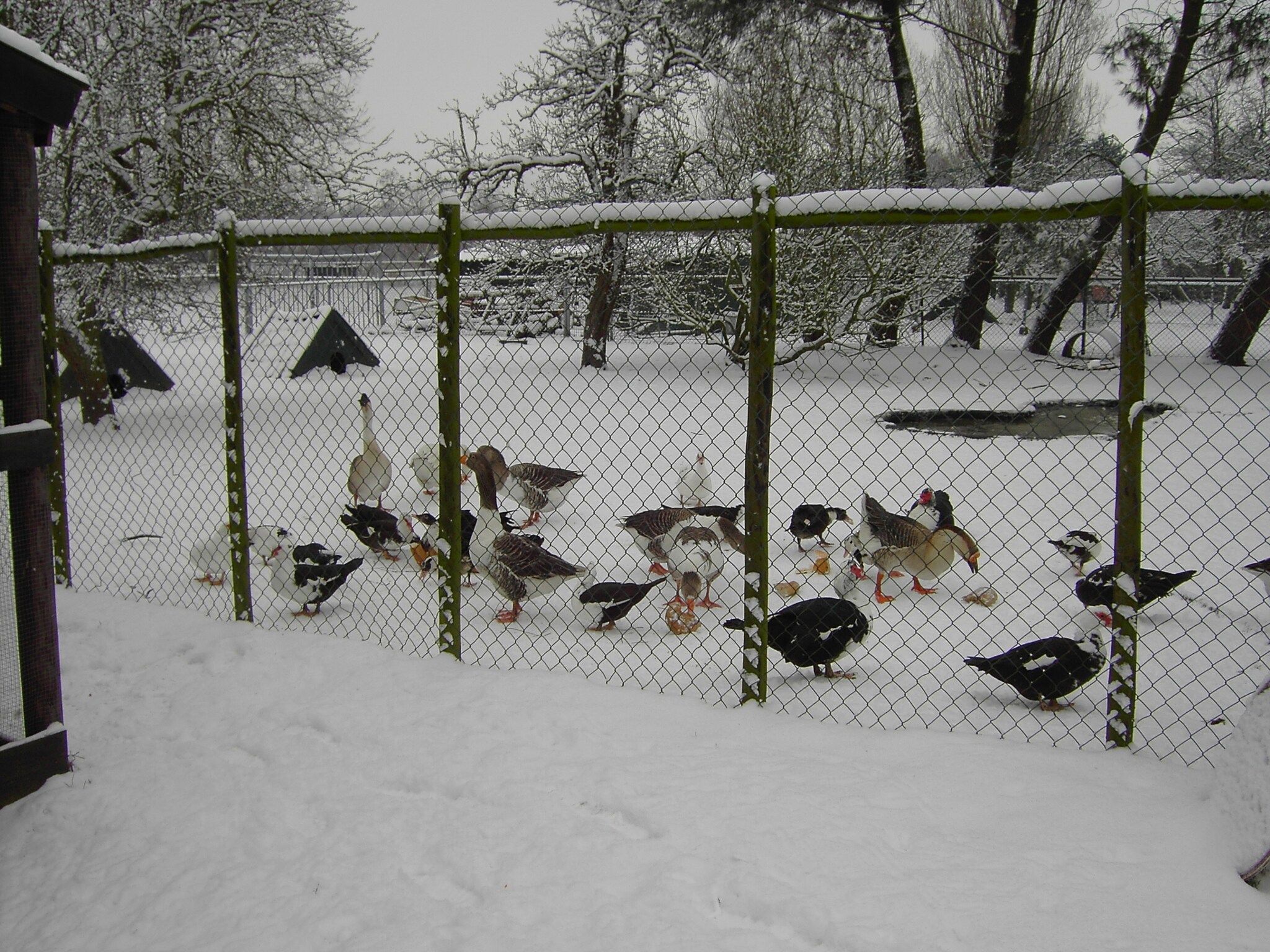 De Herberg in Bergen op Zoom - Foto 27 van 31