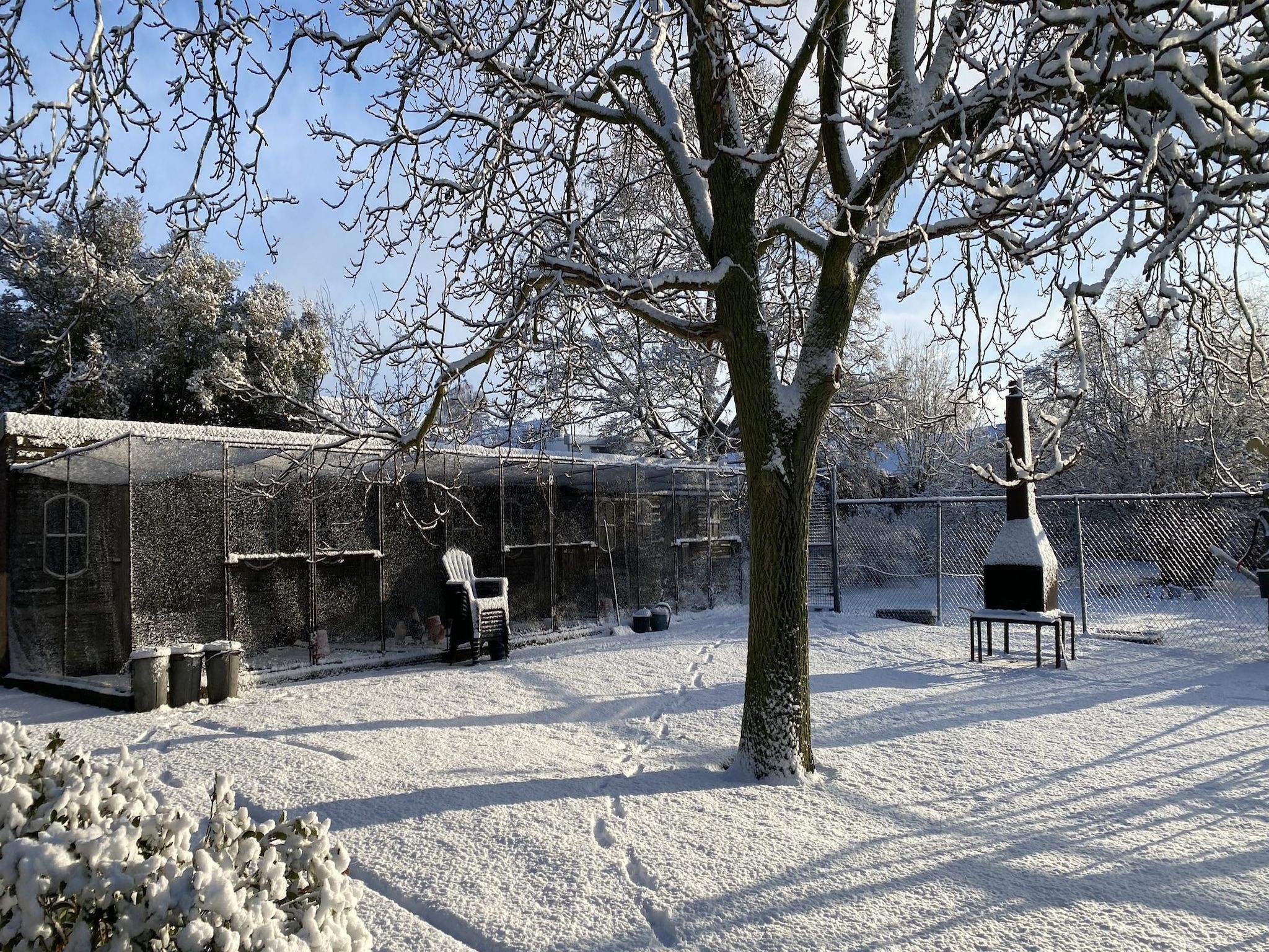 De tuin van De Herberg in Bergen op Zoom