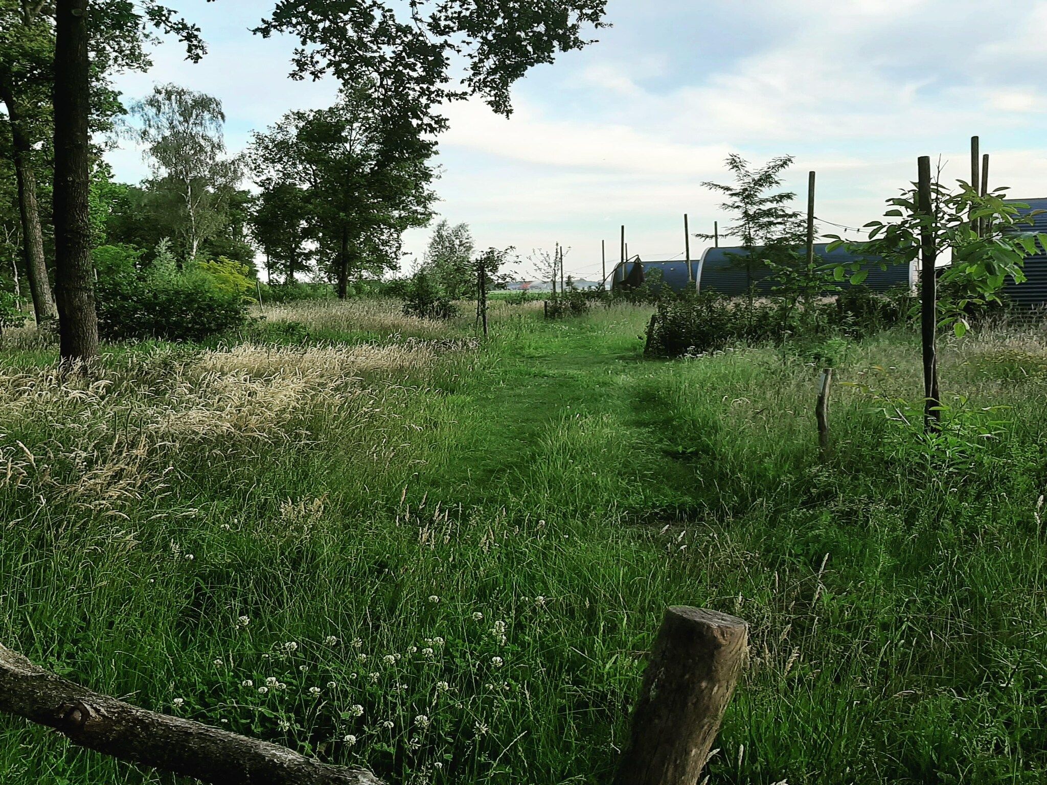 De Ree en de Specht in Oirschot - Foto 13 van 26