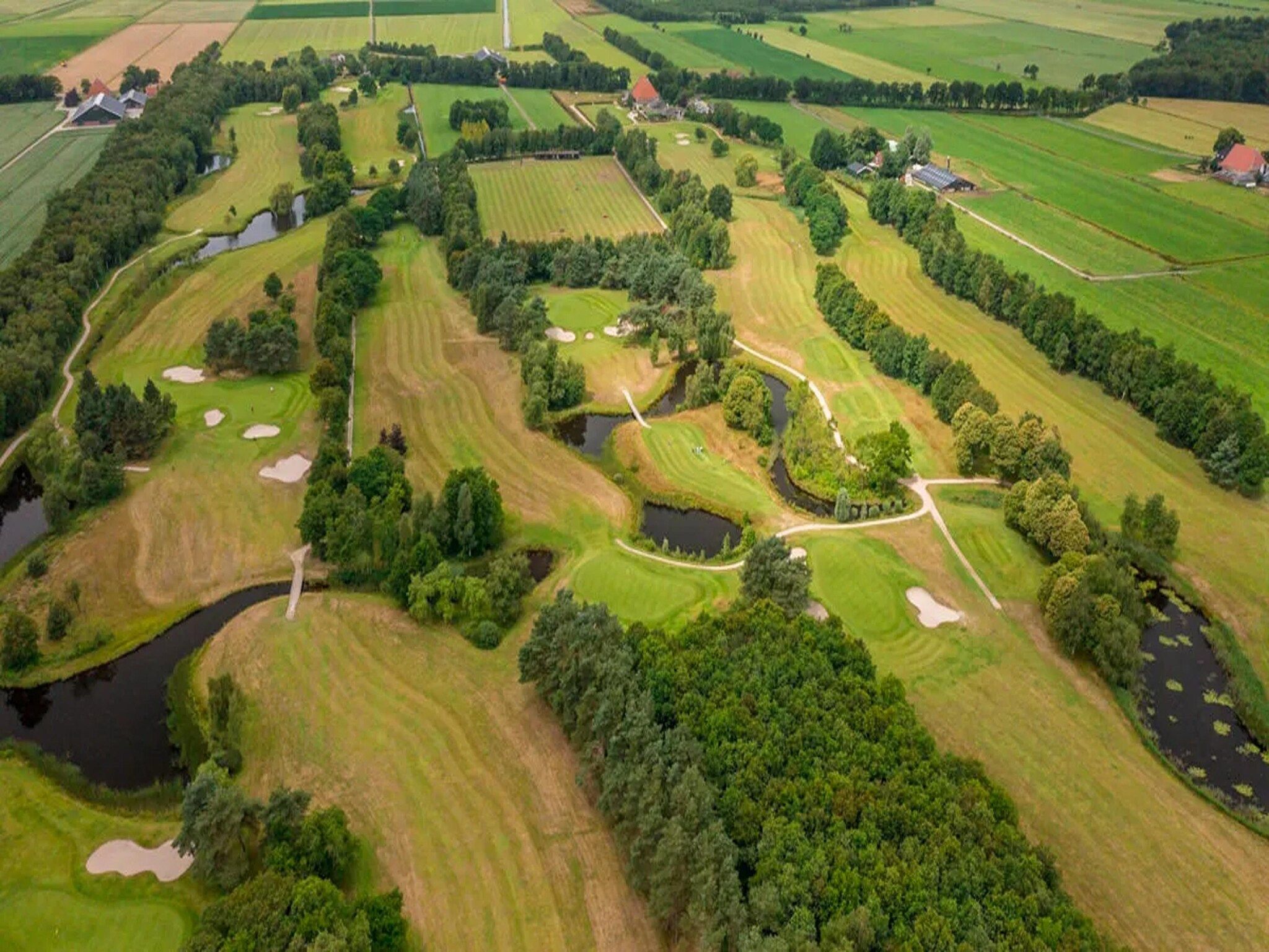De omgeving van Yn 't Bosk in Sint Nicolaasga