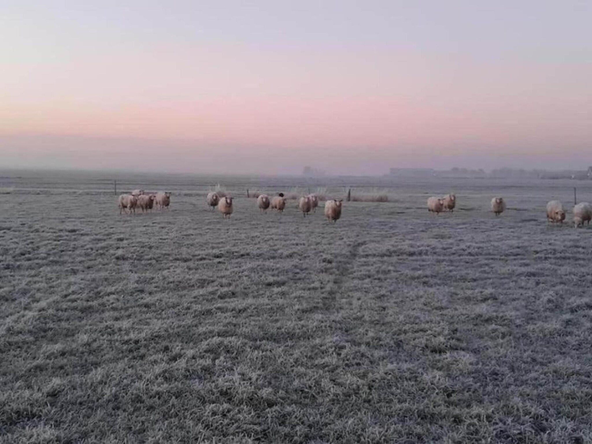 Yn 't Bosk in Sint Nicolaasga - Foto 16 van 20