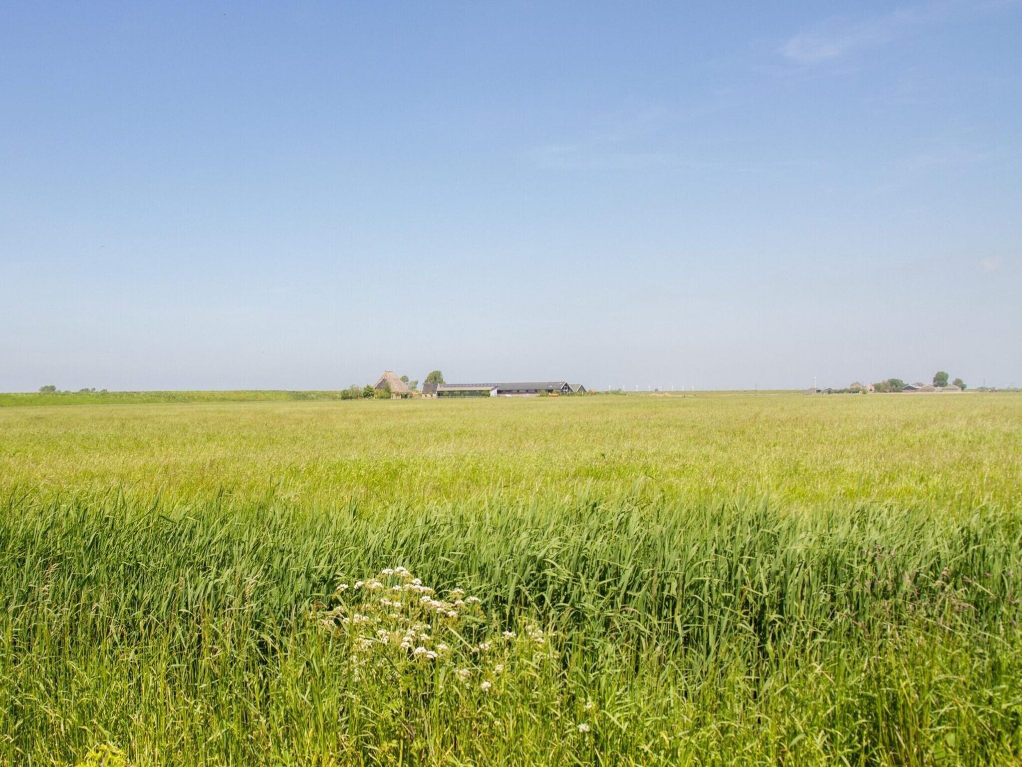 De omgeving van Appartement Boerderij in Schagen