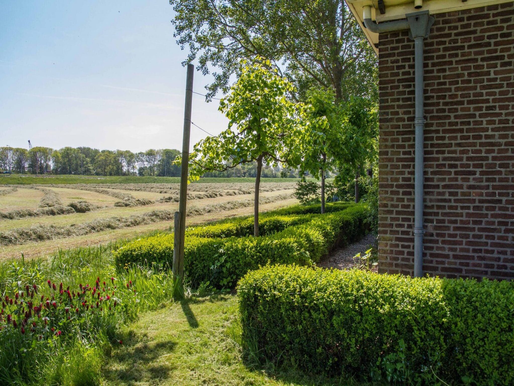De tuin van Appartement Boerderij in Schagen
