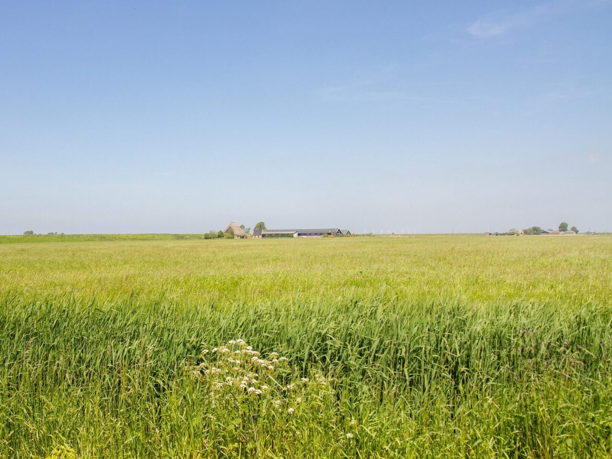 De omgeving van Appartement Dijkzicht in Schagen
