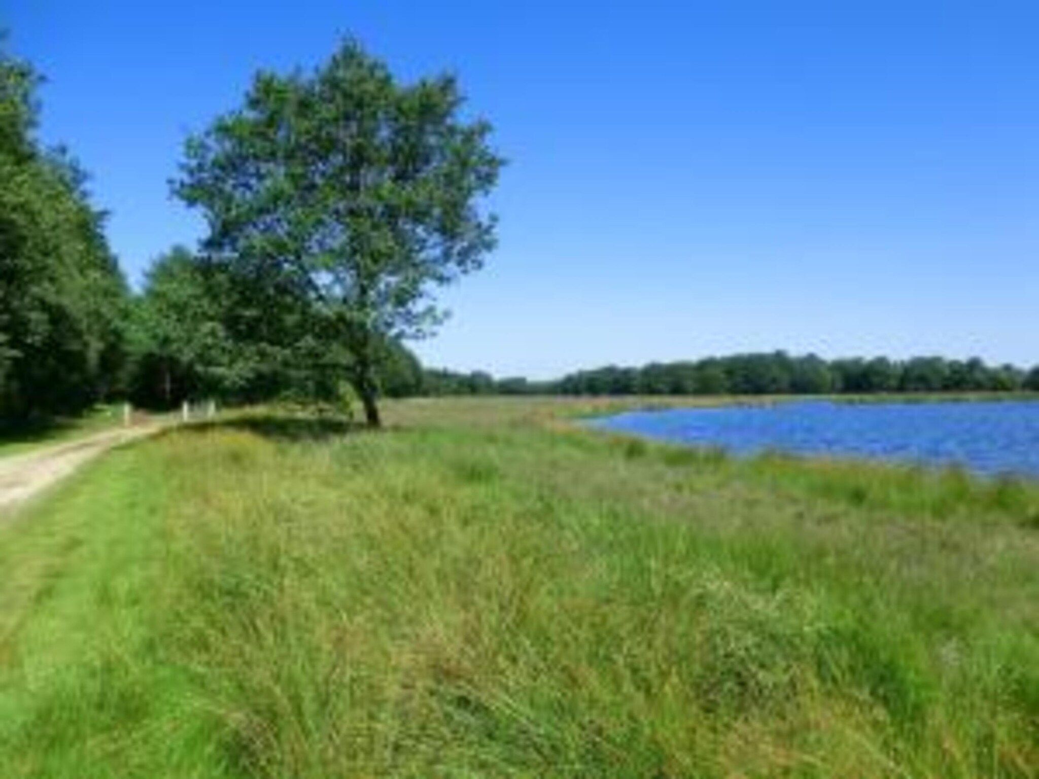 De omgeving van Chaletwoning in Sint Nicolaasga
