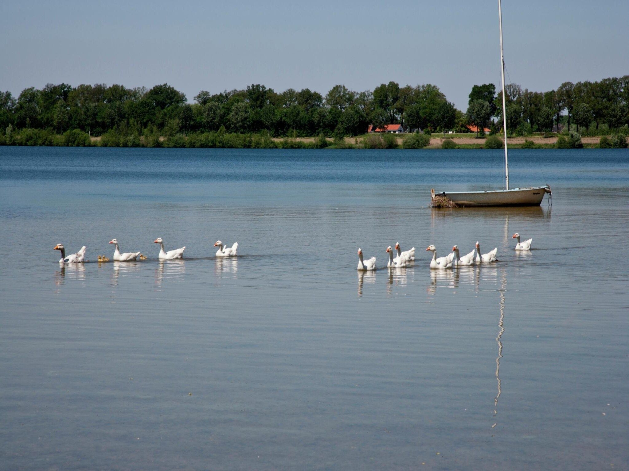 De omgeving van Boswoning in Heel