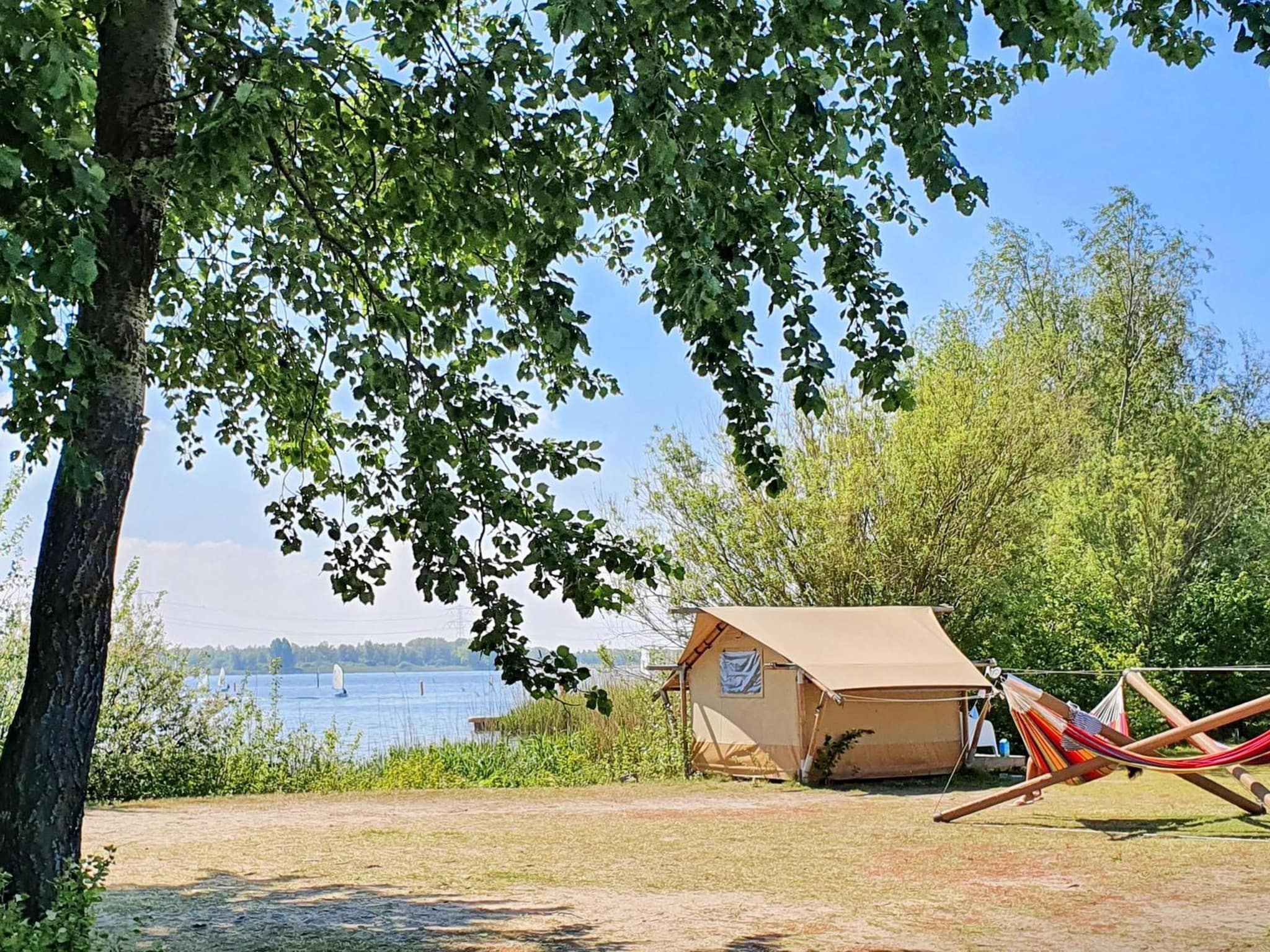 De tuin van Safari Tent 2 people in Almere