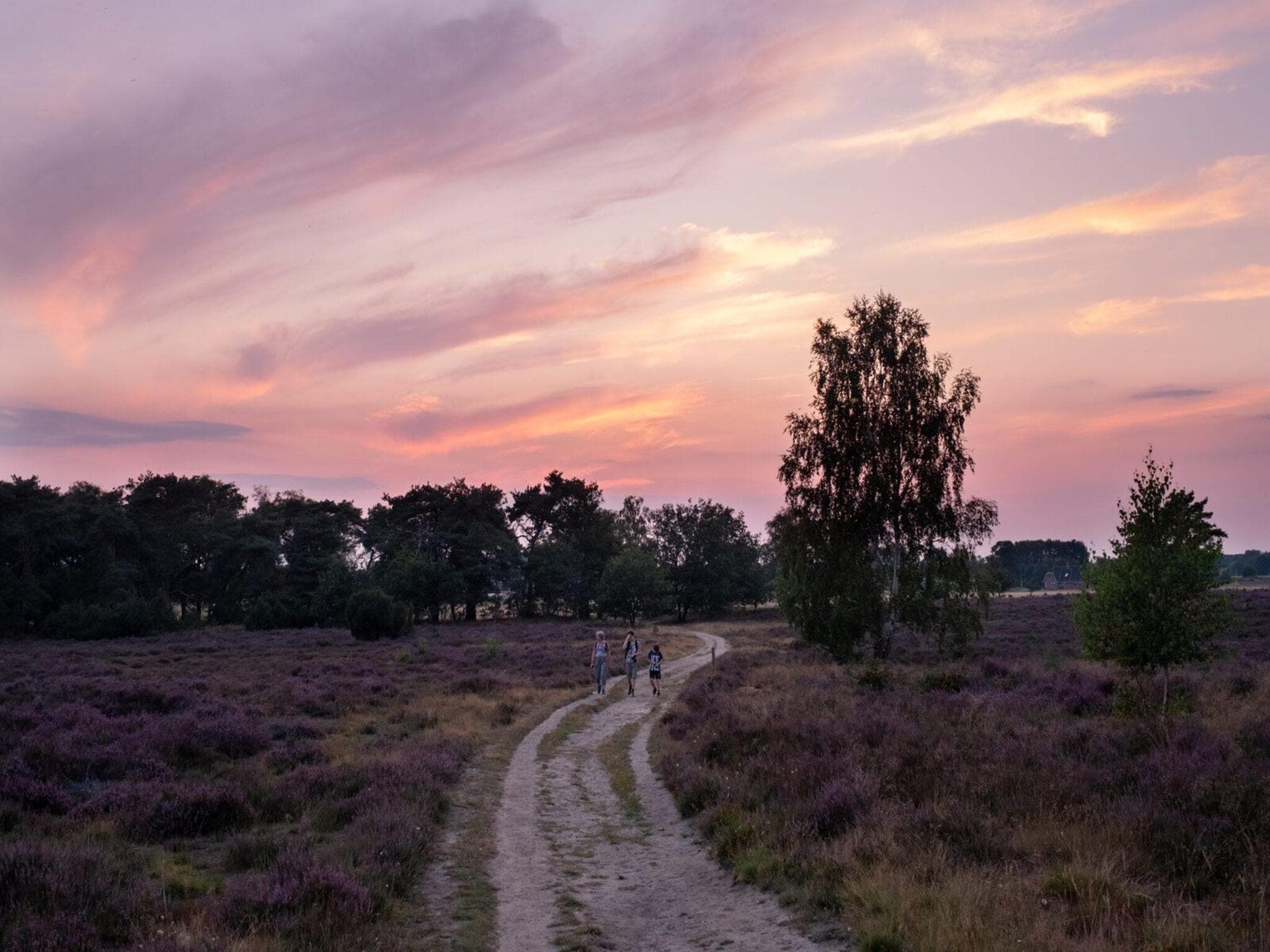 De omgeving van Forest lodge | 6 people in Rijssen