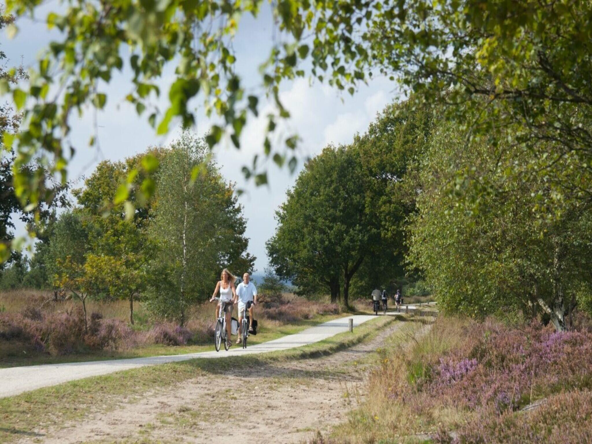 De omgeving van Forest lodge | 6 people in Rijssen