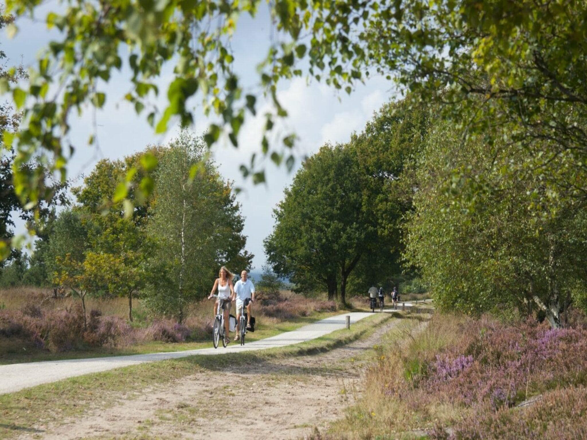 De omgeving van Tiny Cabin with Hottub I 4 people in Rijssen