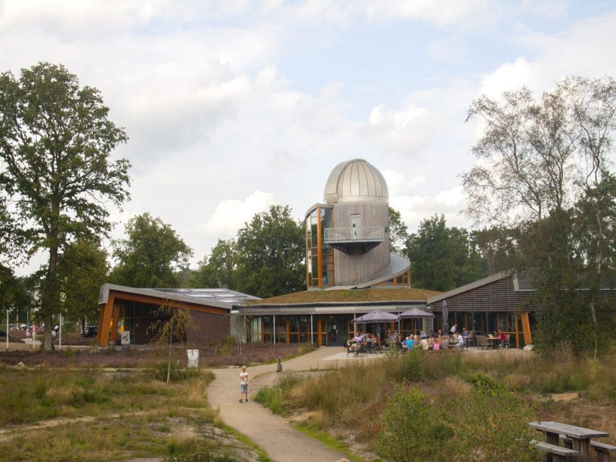 De omgeving van Forest doglodge with hot tub | 4 people in Rijssen