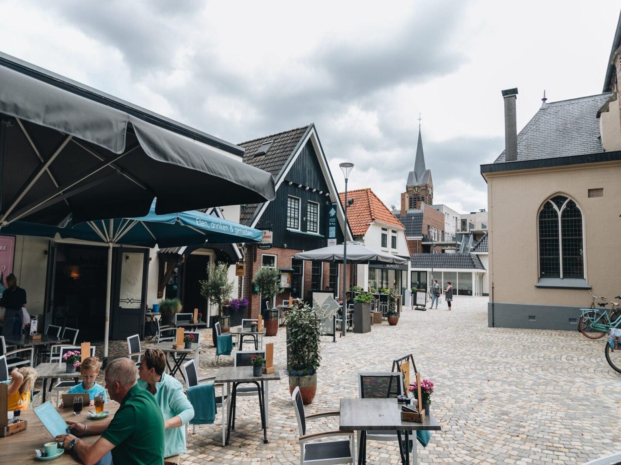 De omgeving van Oak Lodge I 4 people in Rijssen