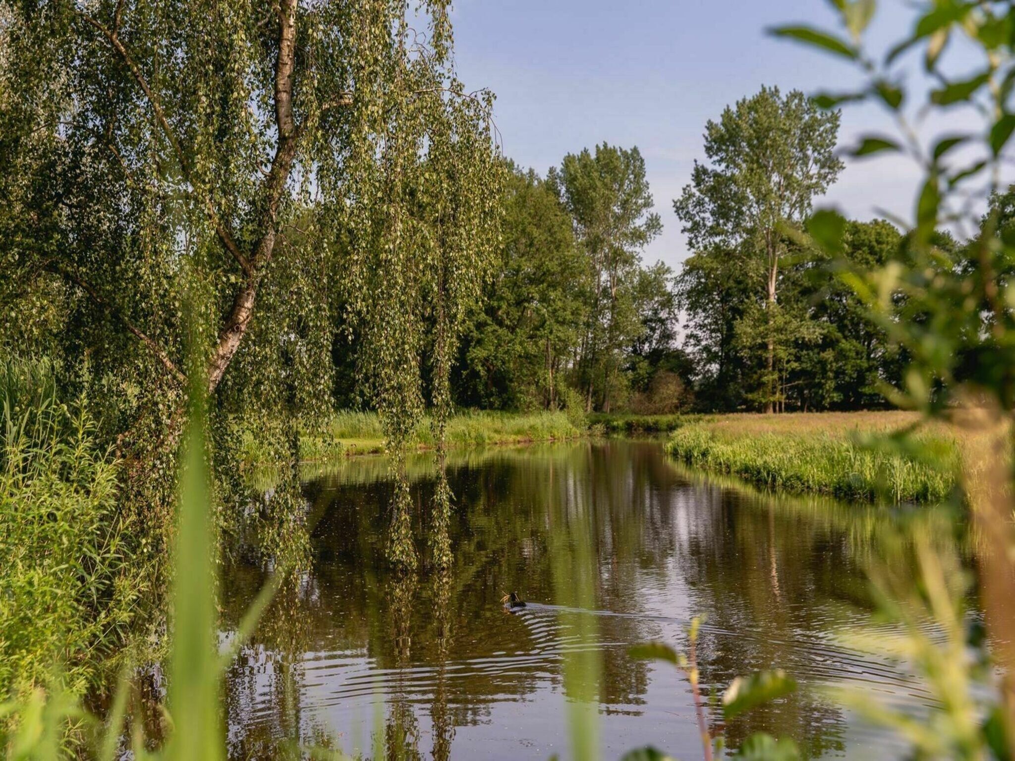 De omgeving van River Cabin with hot tub | 6 people in Zuna