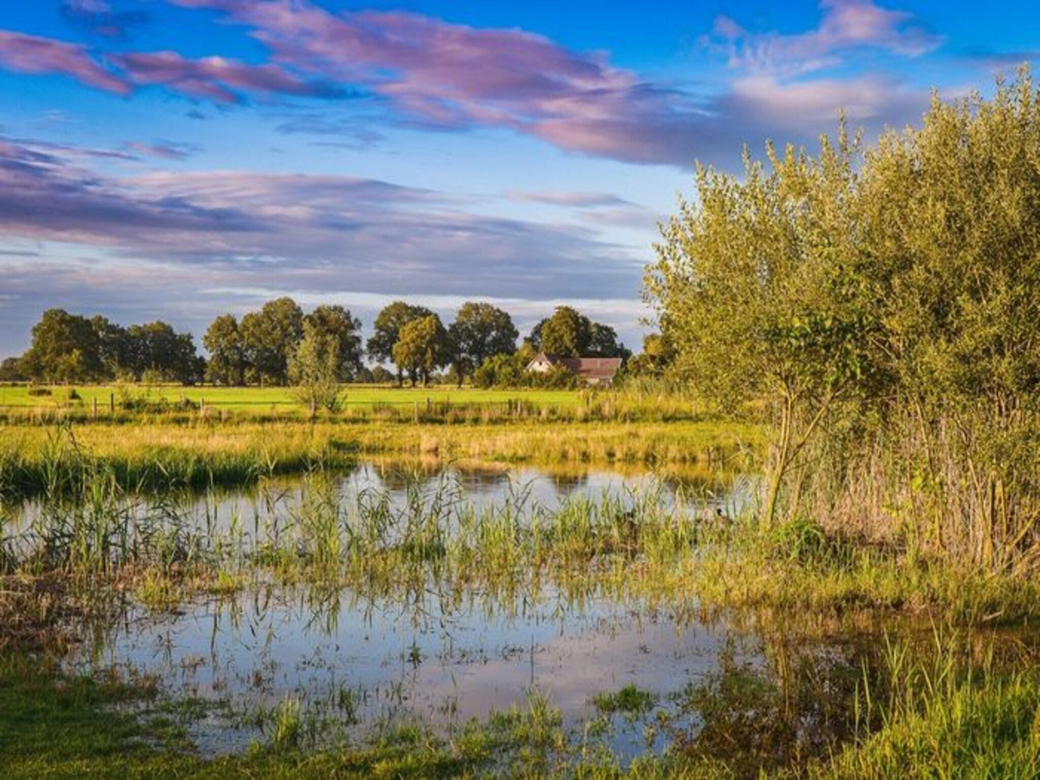 De omgeving van Regge Cottage with hot tub | 4 people in Zuna