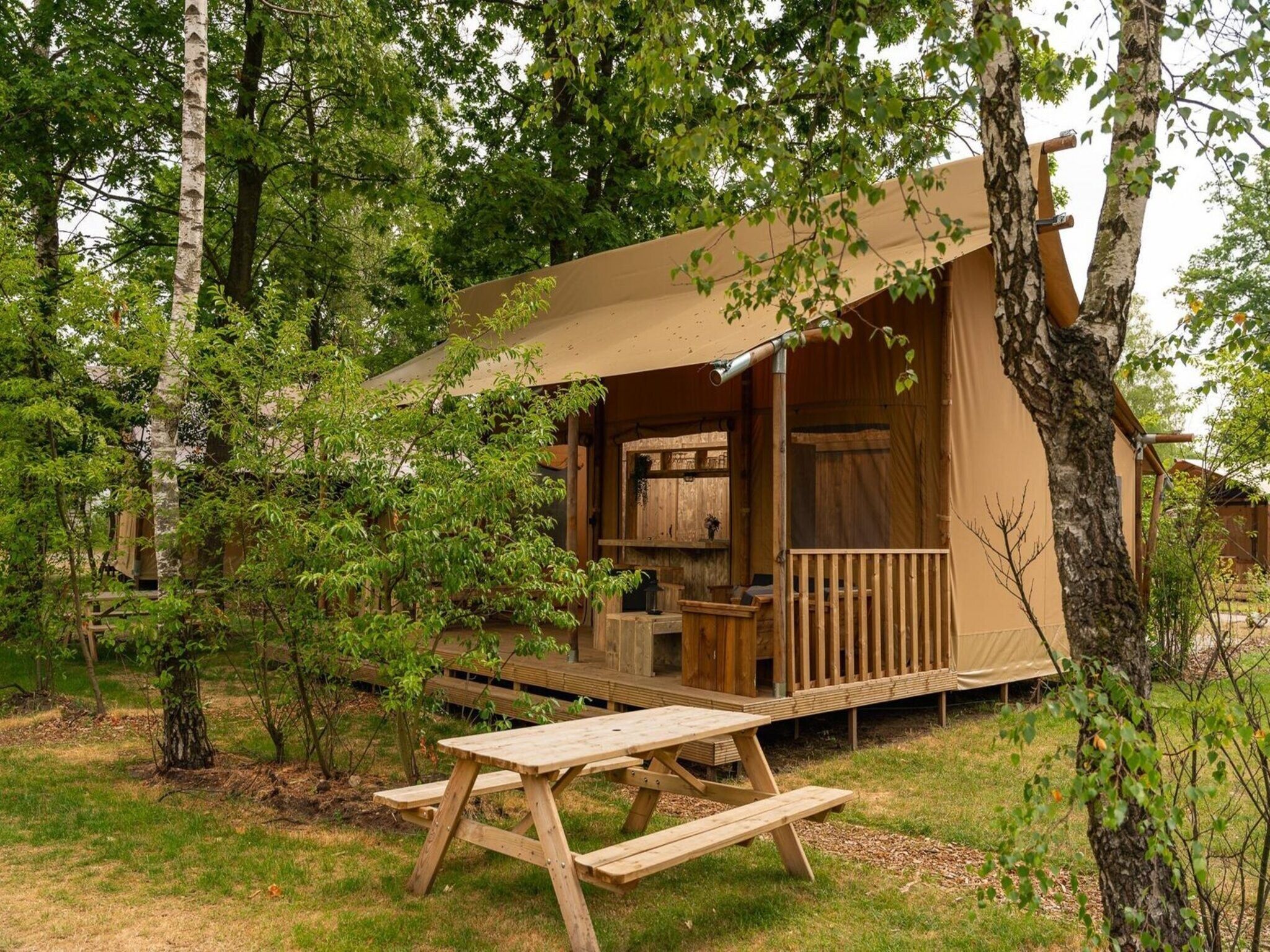 De buitenkant van Safari tent 'the bartenter' with private sanitary facilities | 5 persons in Zuna