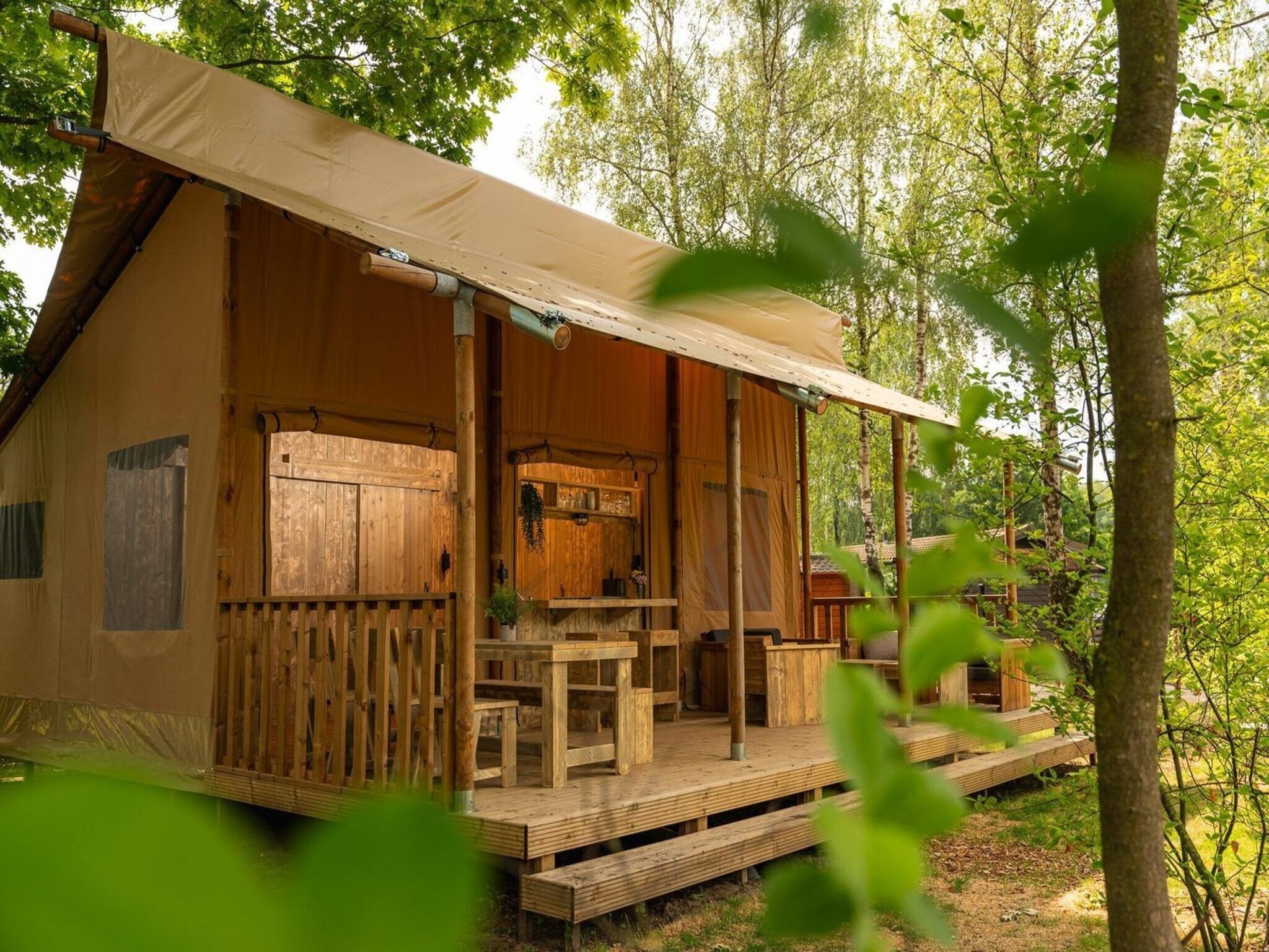 De buitenkant van Safari tent 'the bartenter' with private sanitary facilities | 5 persons in Zuna