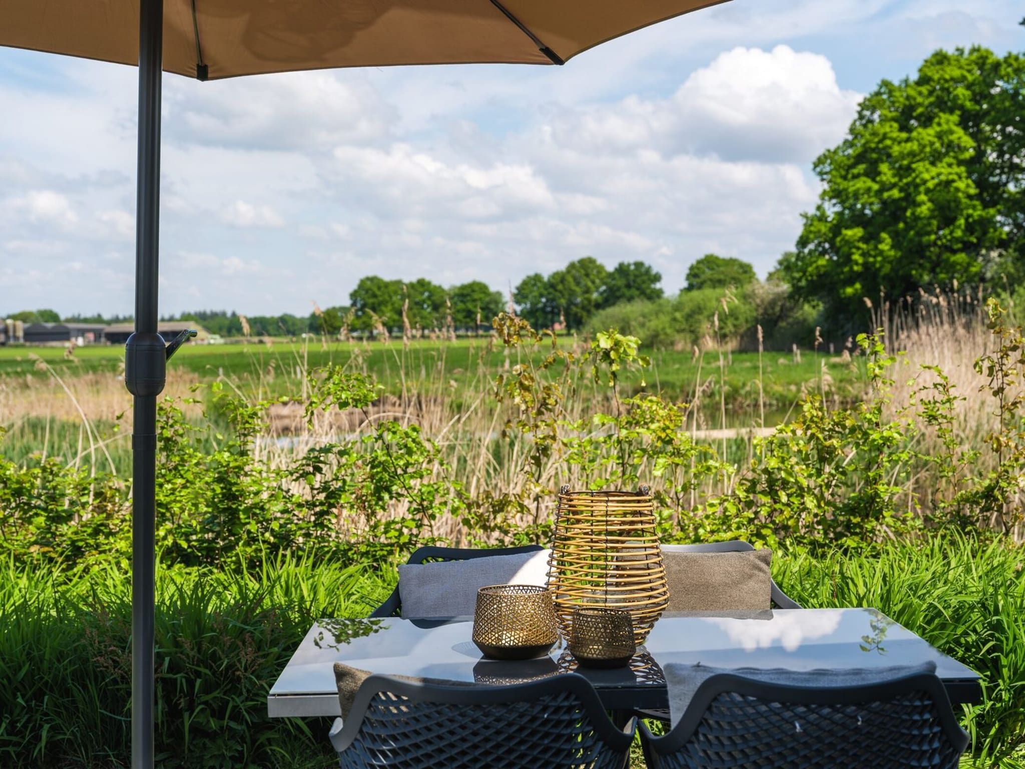 Het terras van Bungalow near the river I 4 persons in Zuna