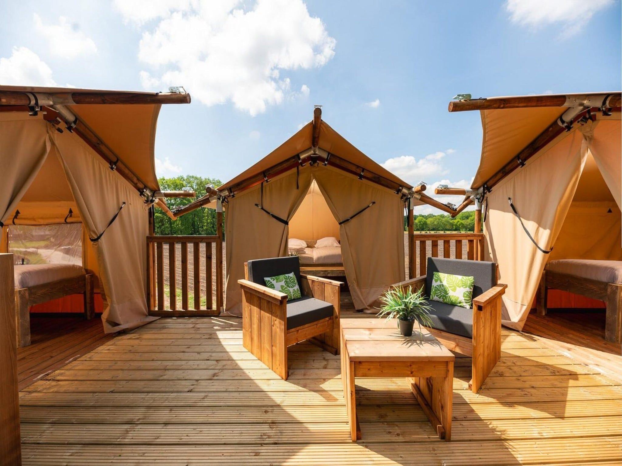 Het terras van Treehouse tent at the Regge with private sanitary facilities | 6 people in Zuna