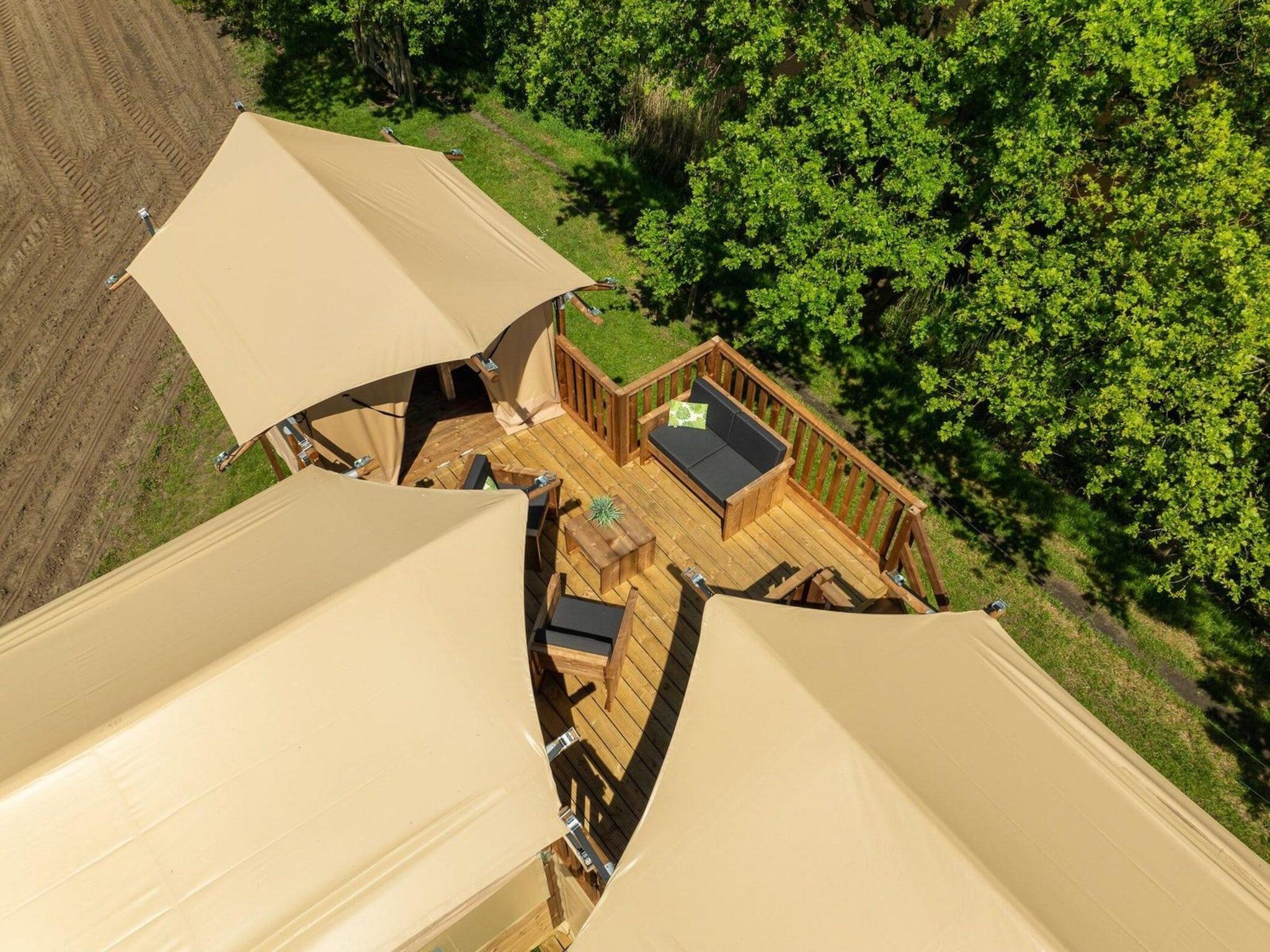 De buitenkant van Treehouse tent at the Regge with private sanitary facilities | 6 people in Zuna