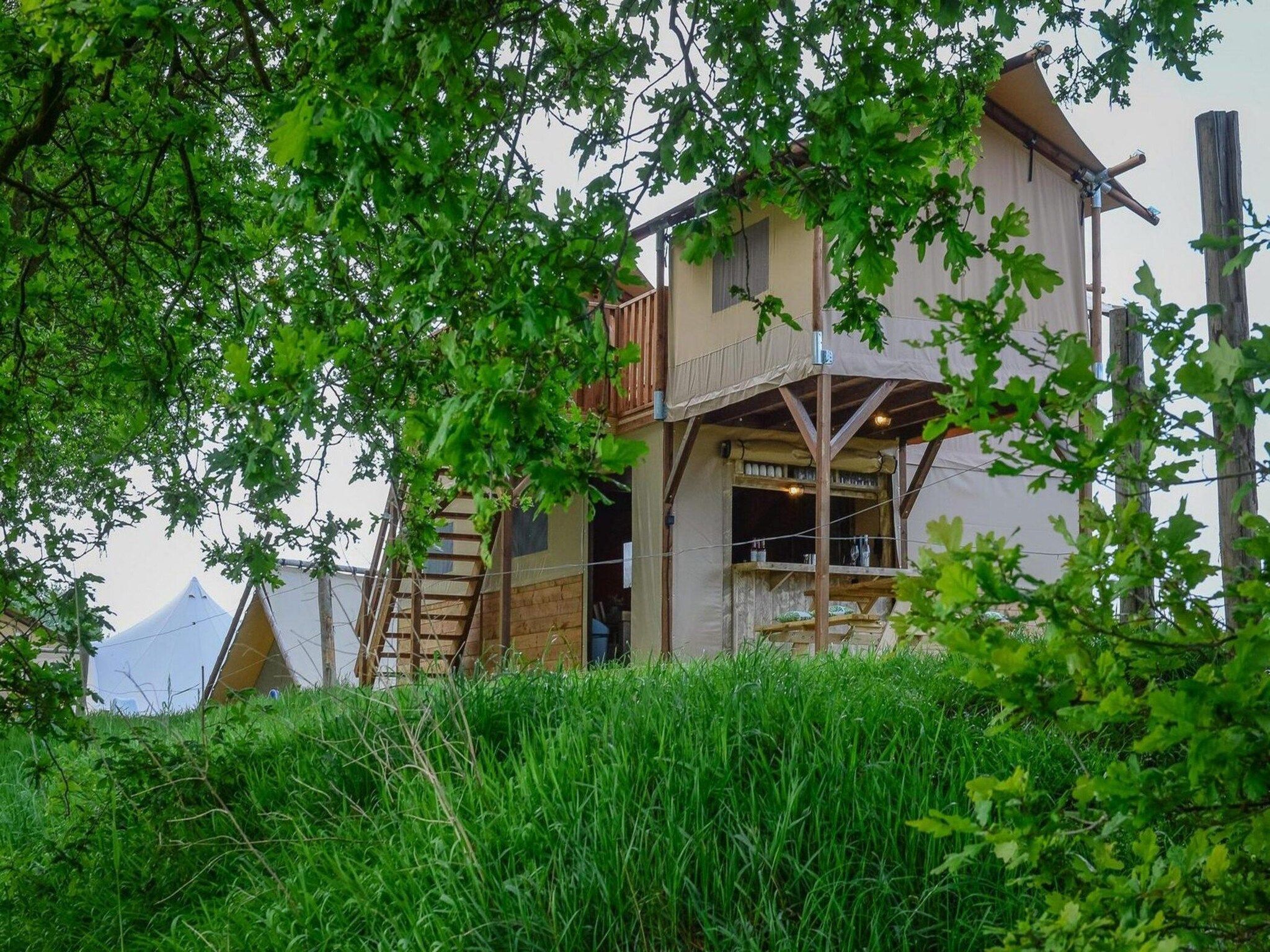 De buitenkant van Treehouse tent at the Regge with private sanitary facilities | 6 people in Zuna