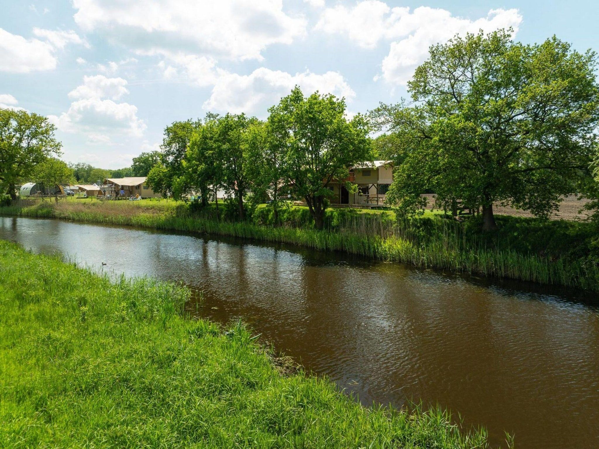 Treehouse tent at the Regge with private sanitary facilities | 6 people in Zuna - Foto 24 van 40