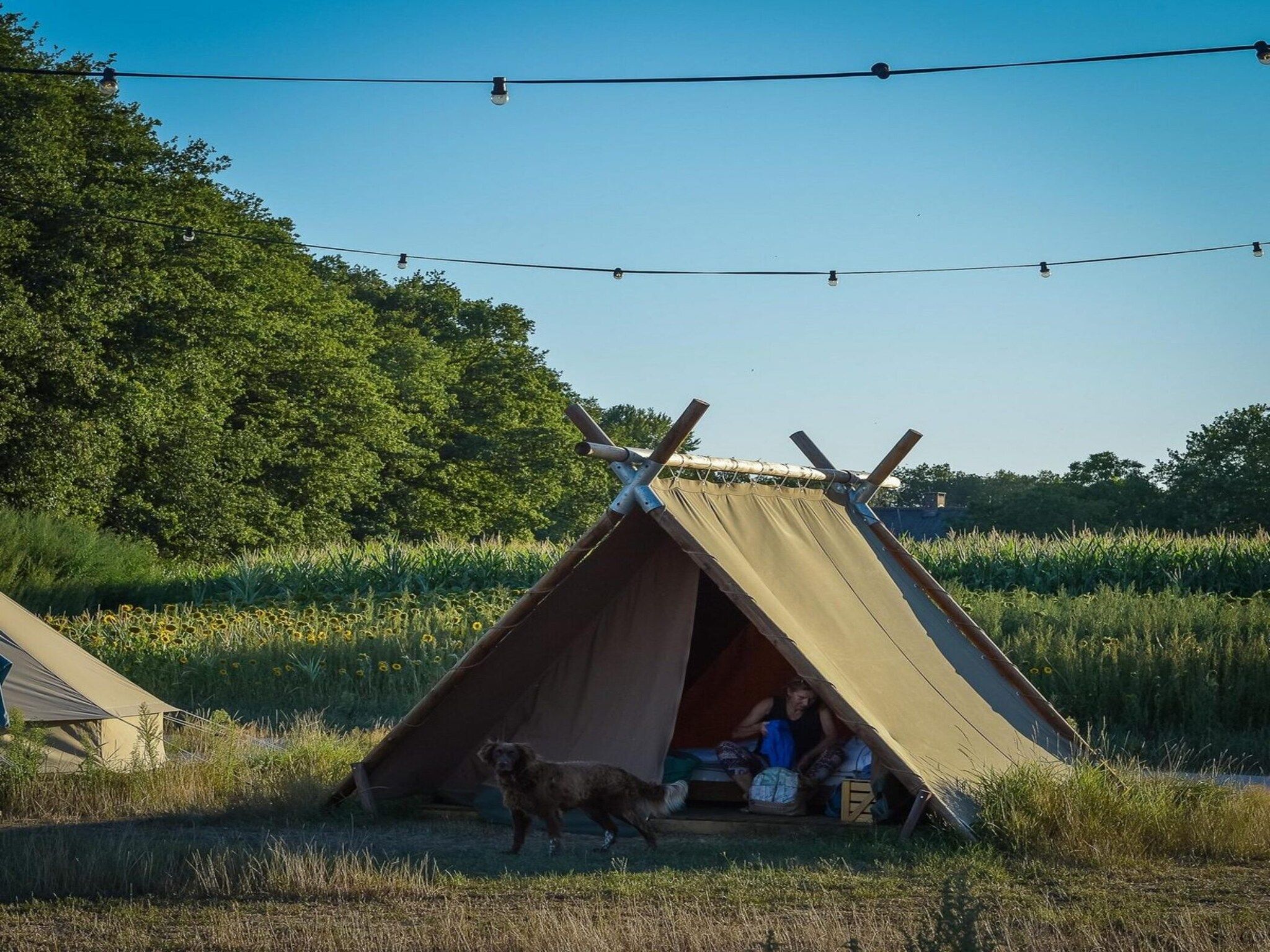 De buitenkant van Group accommodation (6x luxury glamping tent) I 32 people in Zuna