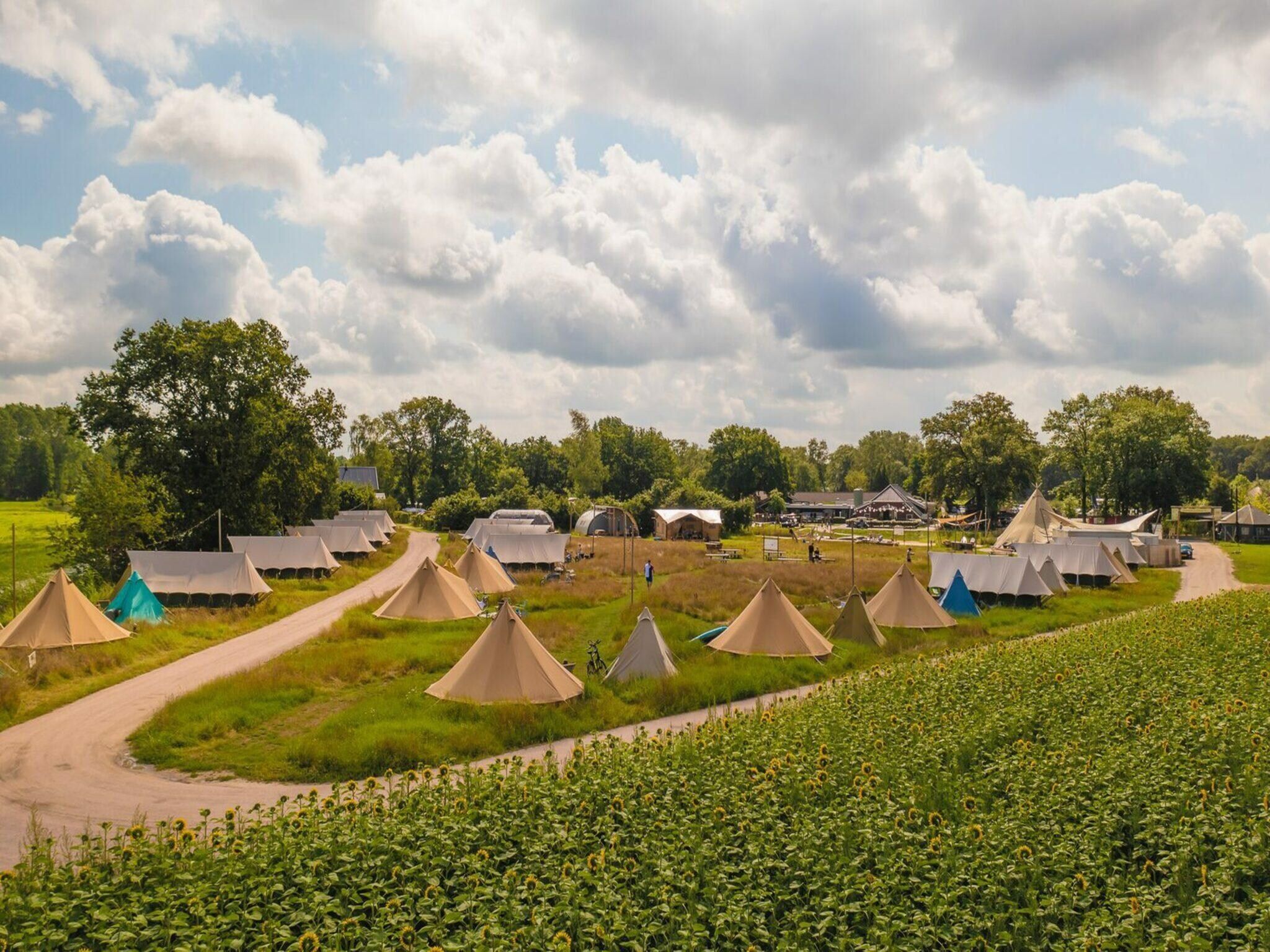 Safaritent met privé sanitair en extra groot terras | 8 personen in Zuna - Foto 18 van 35