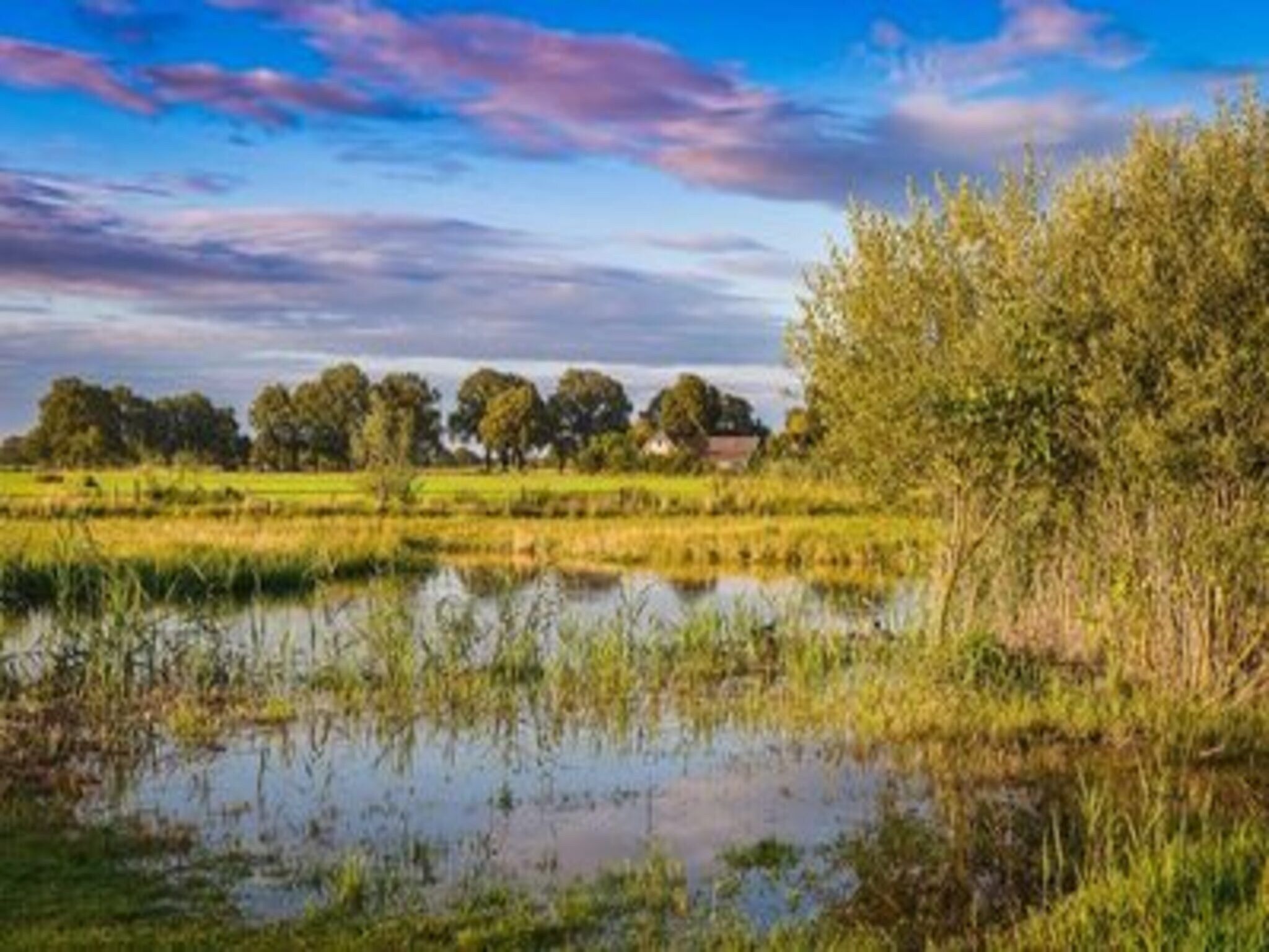 De omgeving van Safaritent met privé sanitair en extra groot terras | 8 personen in Zuna