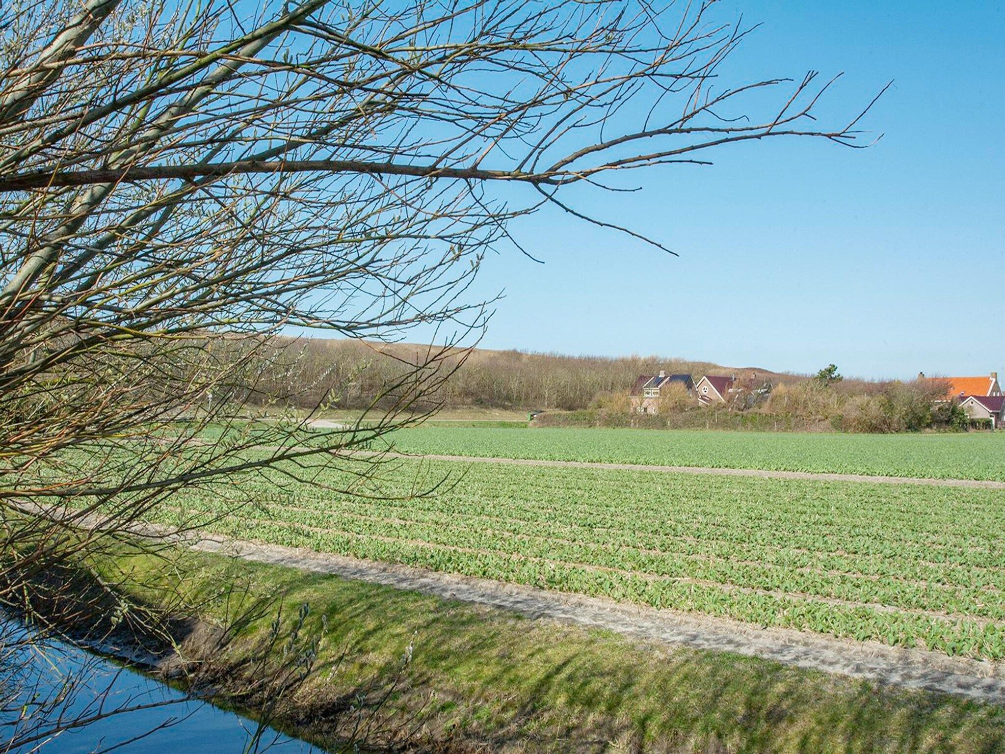 De omgeving van Résidence Juliana 21 in Julianadorp aan Zee