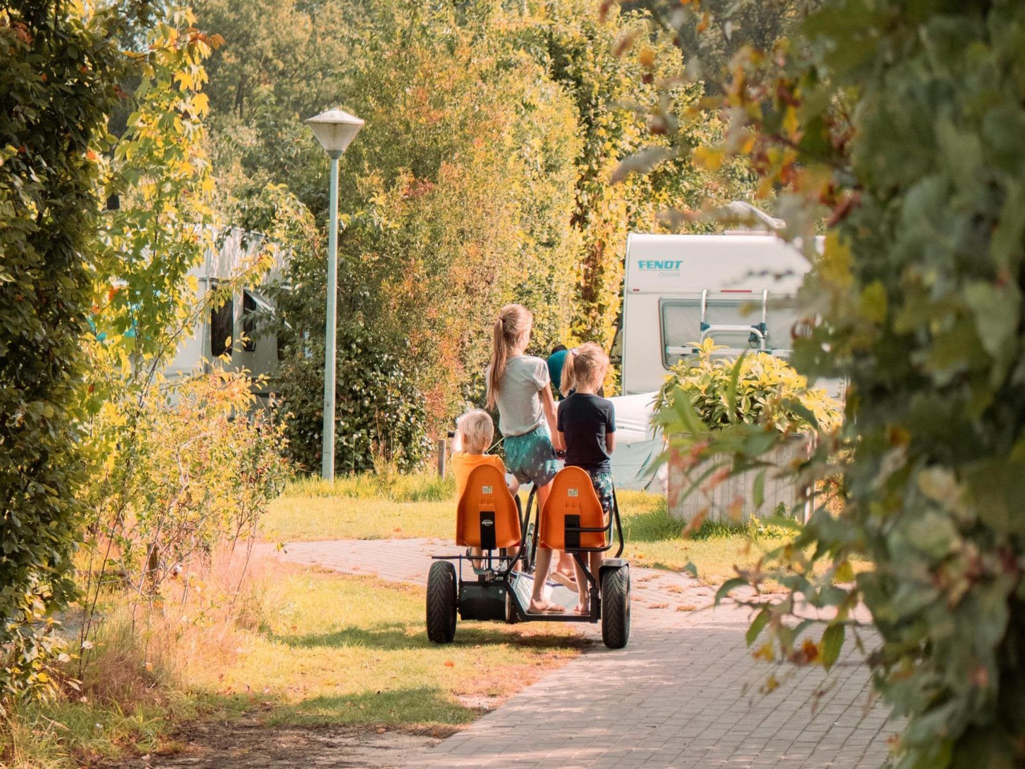 Parkfaciliteiten bij Boslodge l 4 persons in Balkbrug