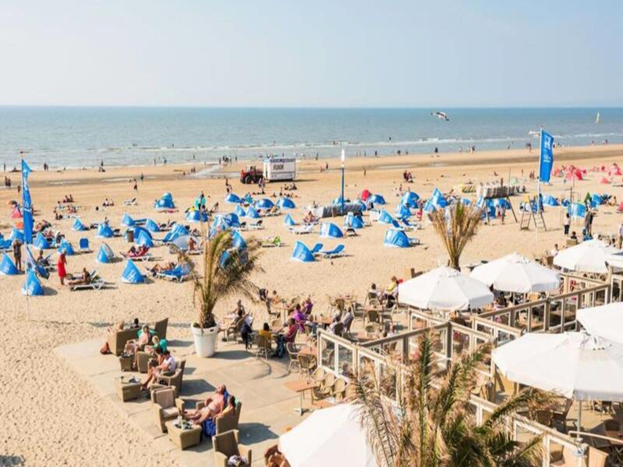 Agr&eacute;able Maison Familiale (parking Gratuit) in Zandvoort - Foto 41 van 41