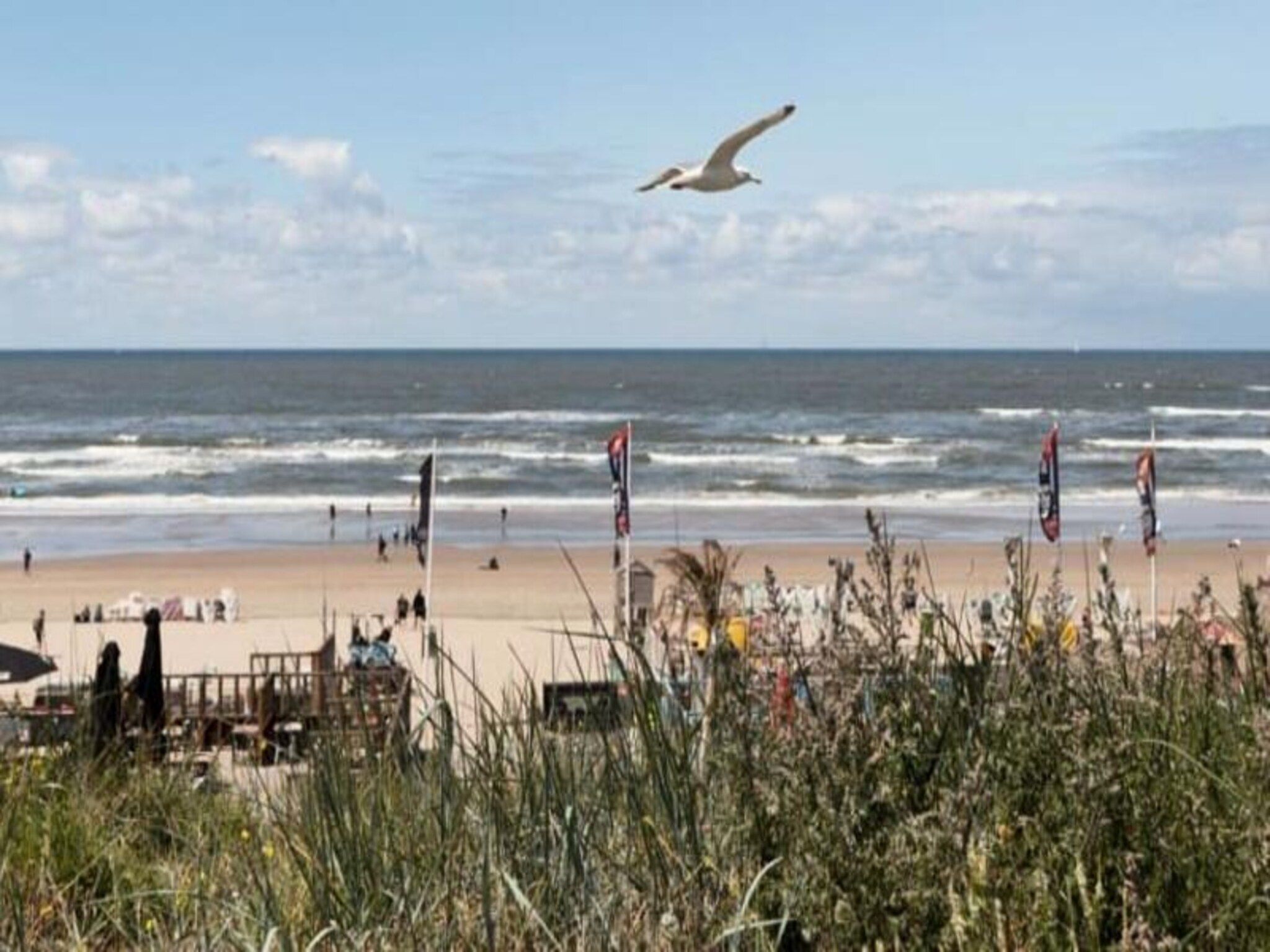 Family Stay Zandvoort in Zandvoort - Foto 45 van 61