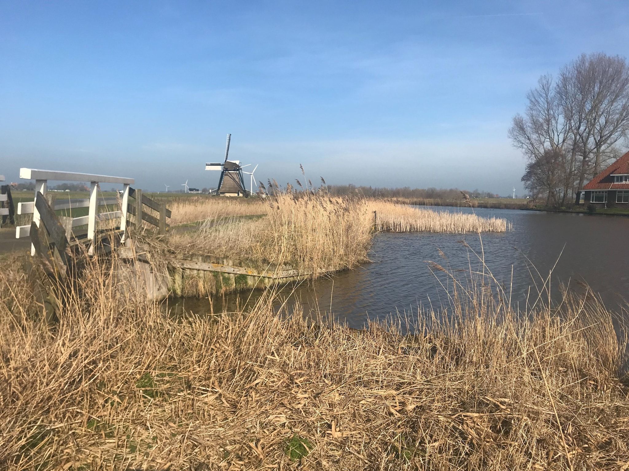 De omgeving van De Waske in Warns