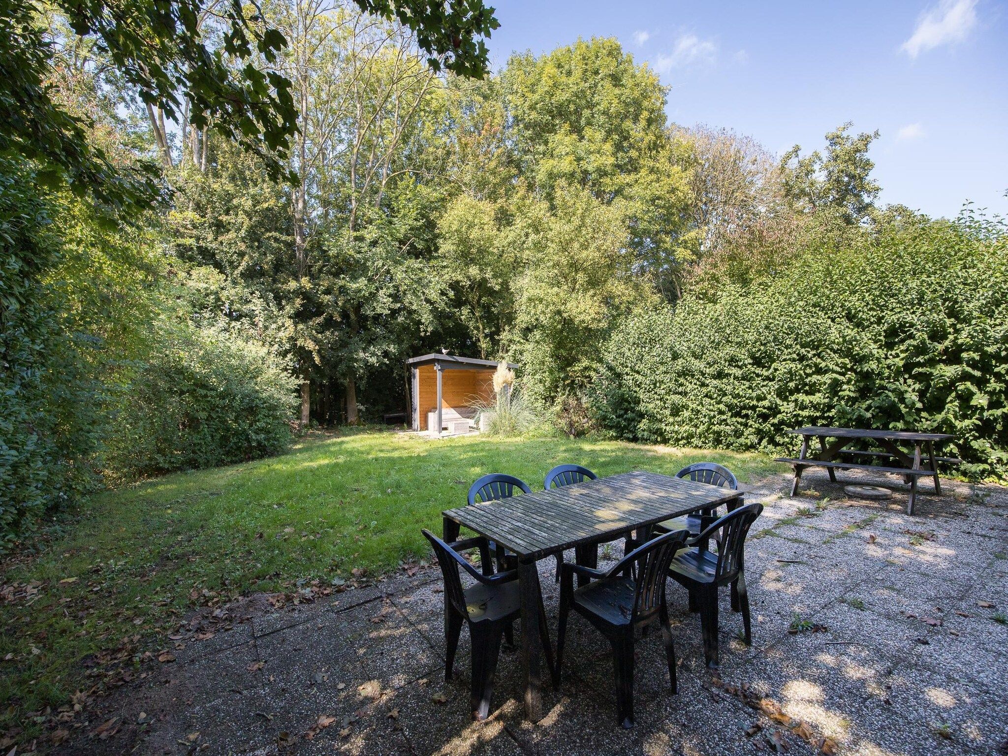 Het terras van 7 - Persoons Forest 217 Sauna Bungalow (copy) in Ewijk