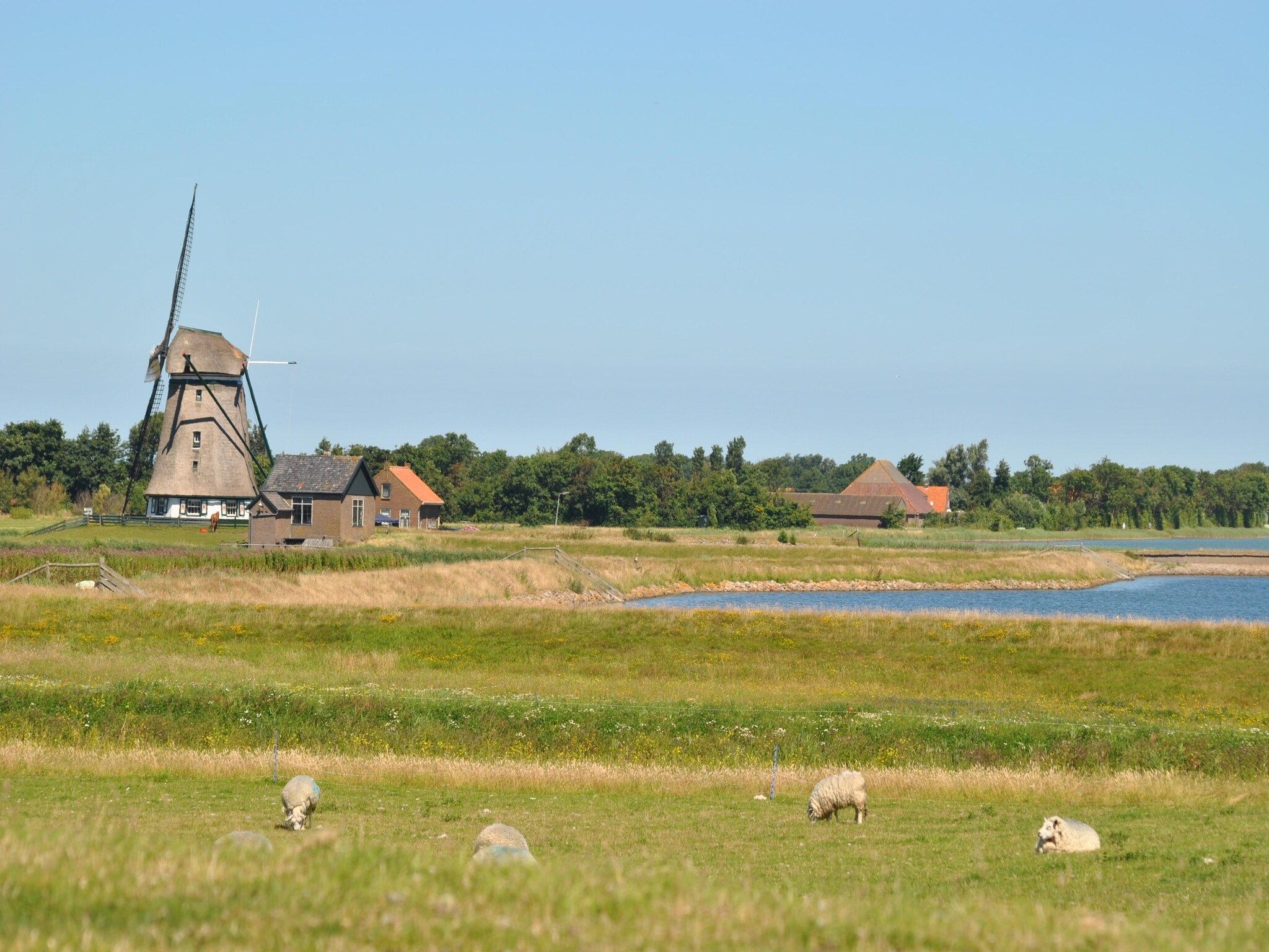De omgeving van De Witte Parel in Den Burg