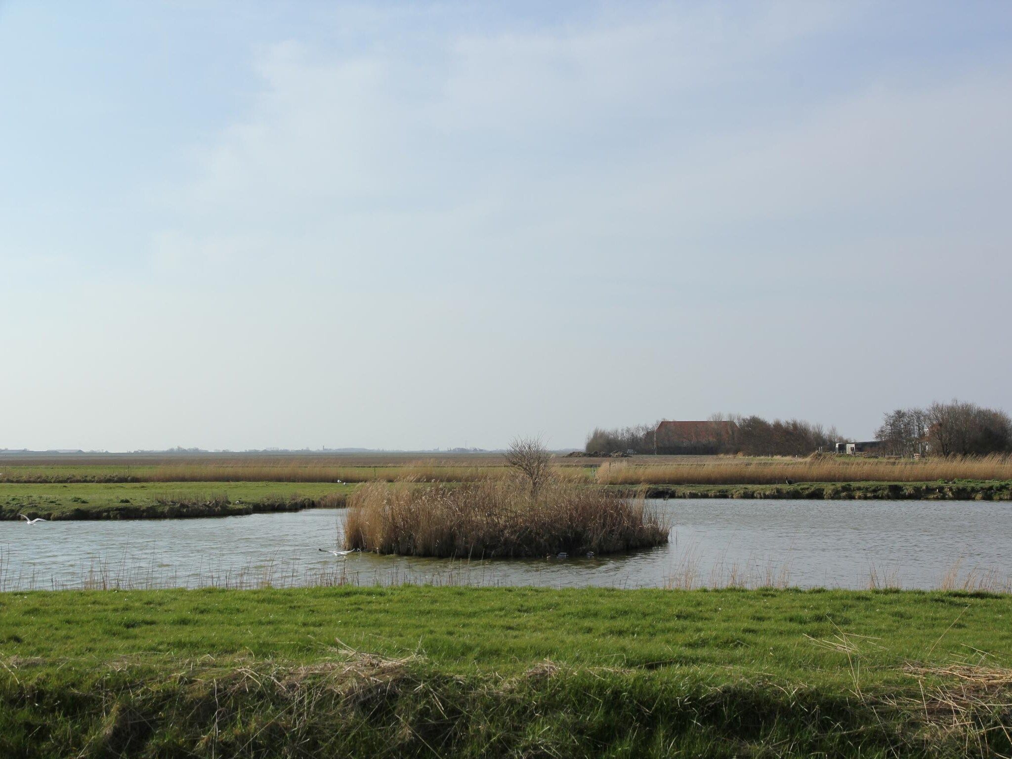 De omgeving van Noorderlicht in De Cocksdorp