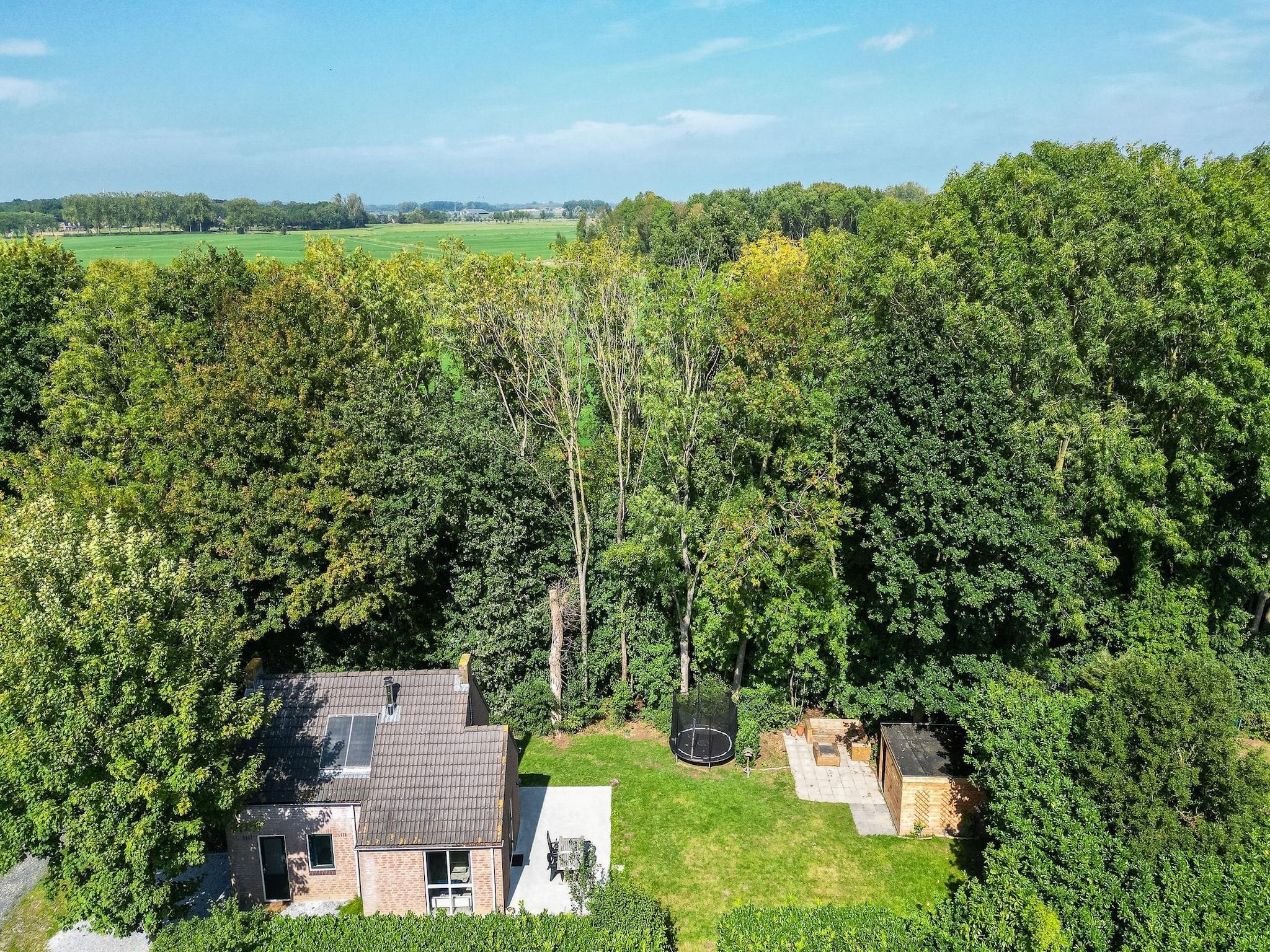 De omgeving van 7 - Persoons Forest 217 Sauna Bungalow (copy) (copy) in Ewijk