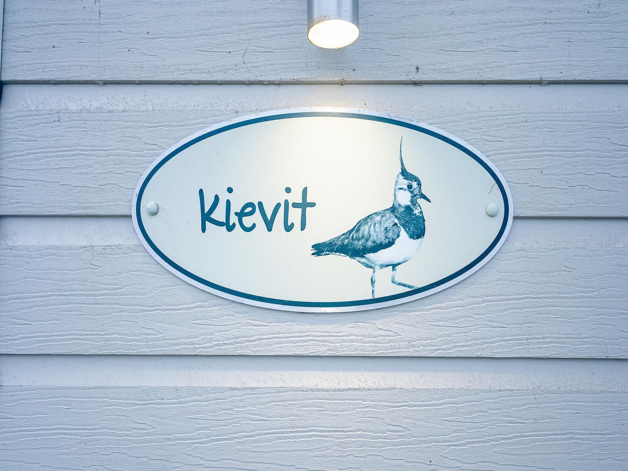 Sfeerbeeld van Duinhoeve Chalet Vogel - Huisdier niet toegestaan in Burgh-Haamstede