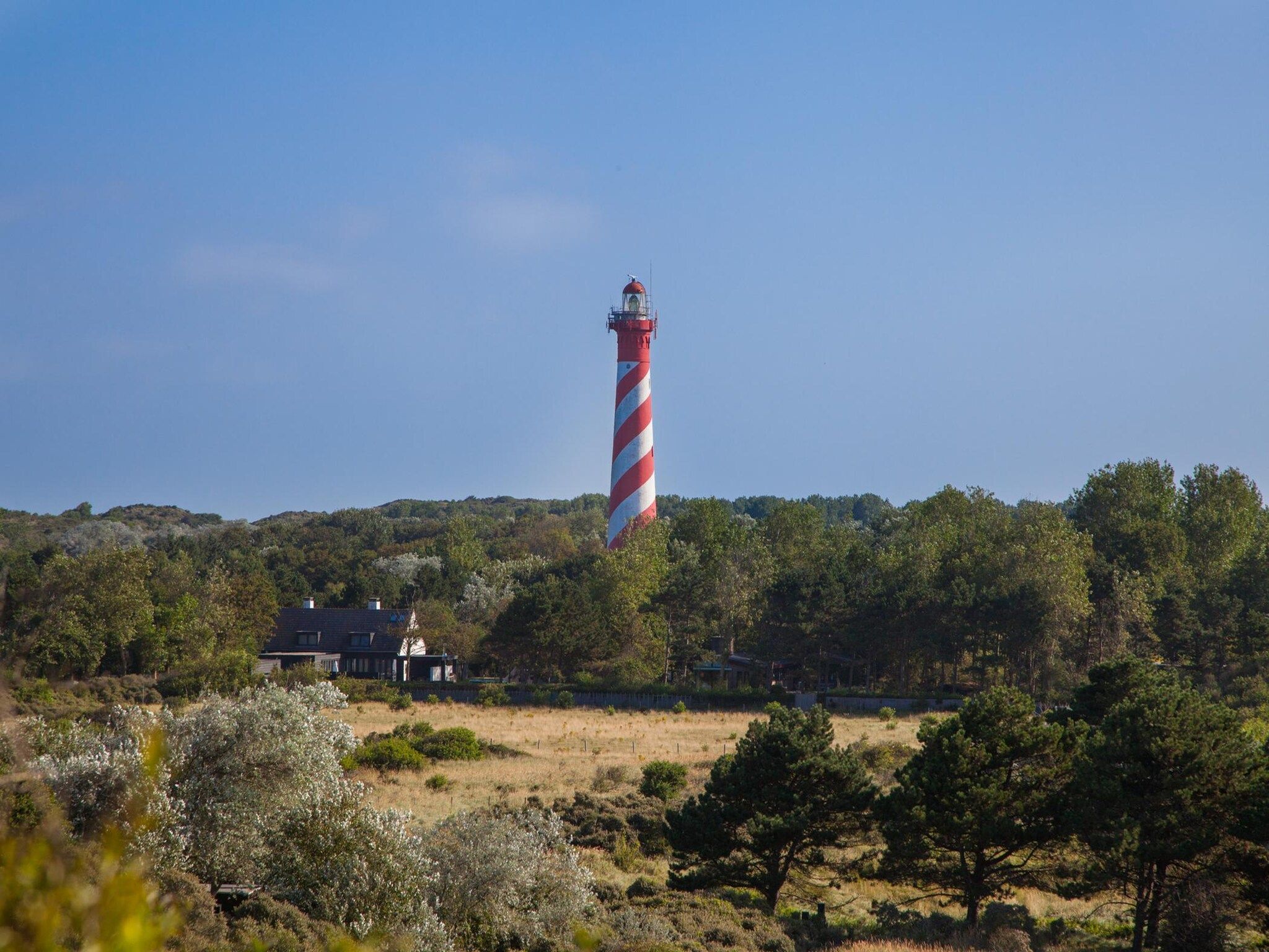 De omgeving van Duinhoeve Duinlodges 2 pers (huisdiervriendelijk) in Burgh-Haamstede
